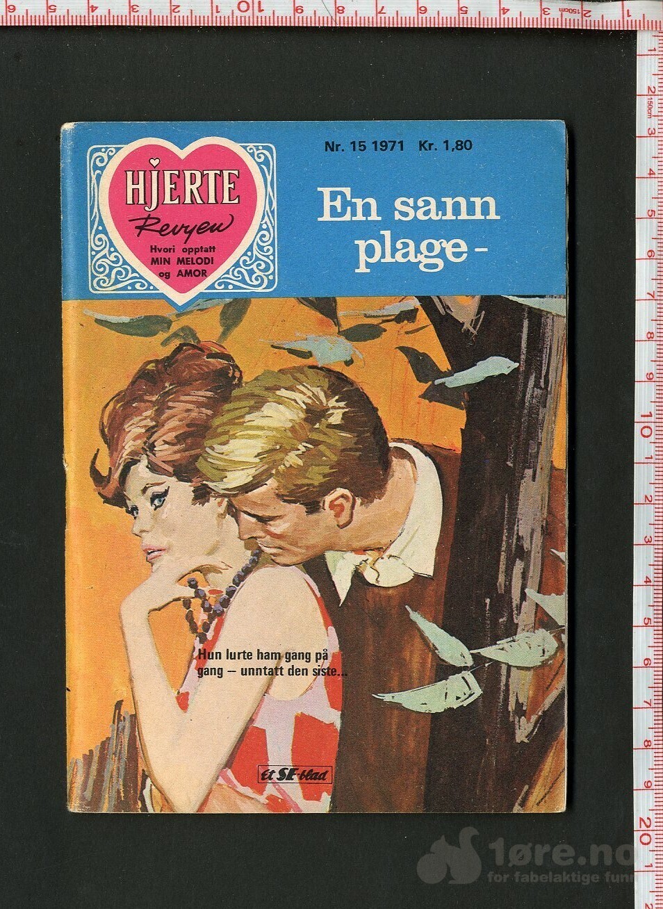 Hjerte Revyen: Nr. 15/1971 En sann plage