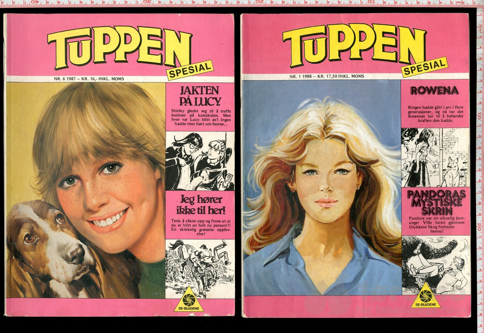 Tuppen og Lillemor, bilde 4