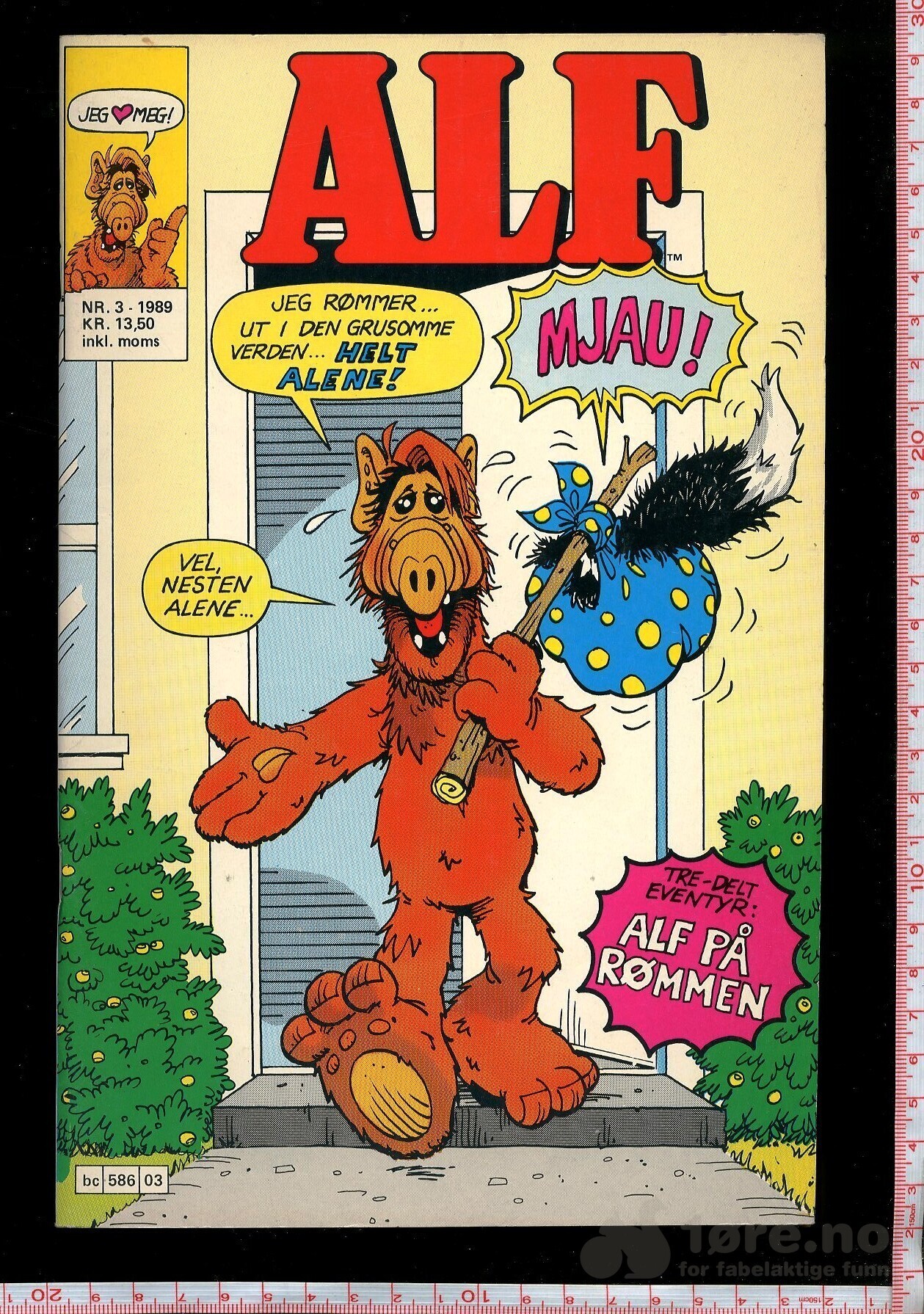 Alf - 1988-90, bilde 8