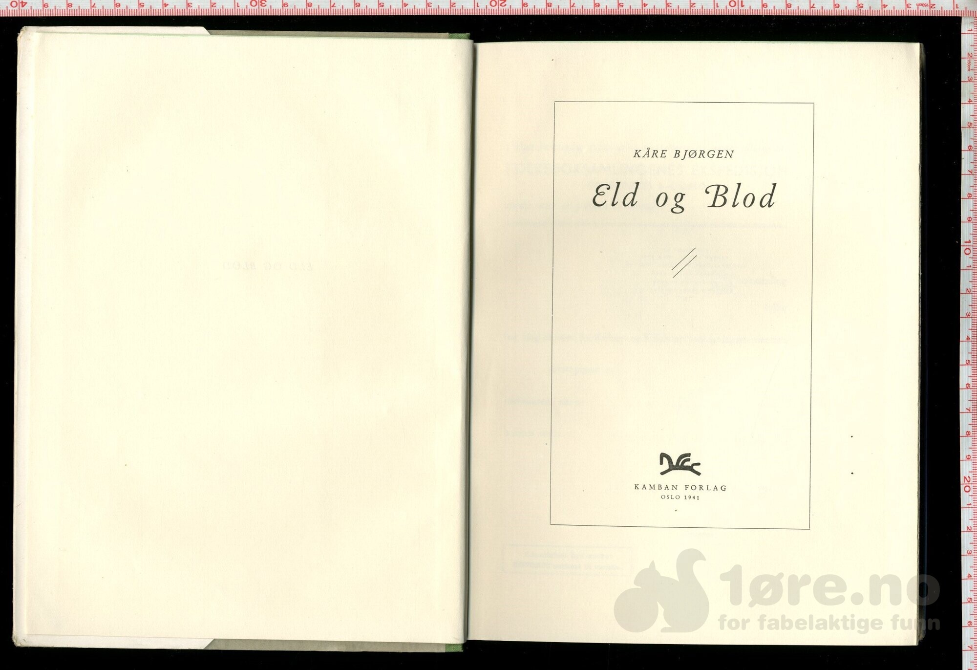 Bjørgen, Kåre  -  Eld og Blod (1941) Omslag ill. av Damsleth!, bilde 2