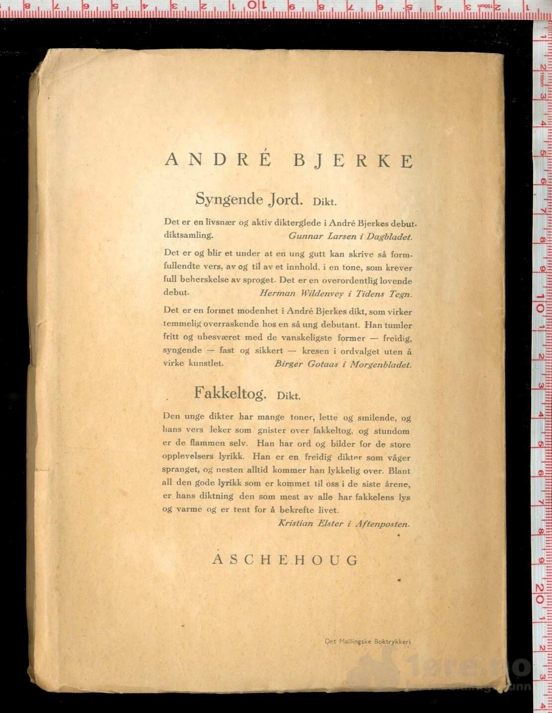 Bjerke, Andre - Regnbuen (1946), bilde 3