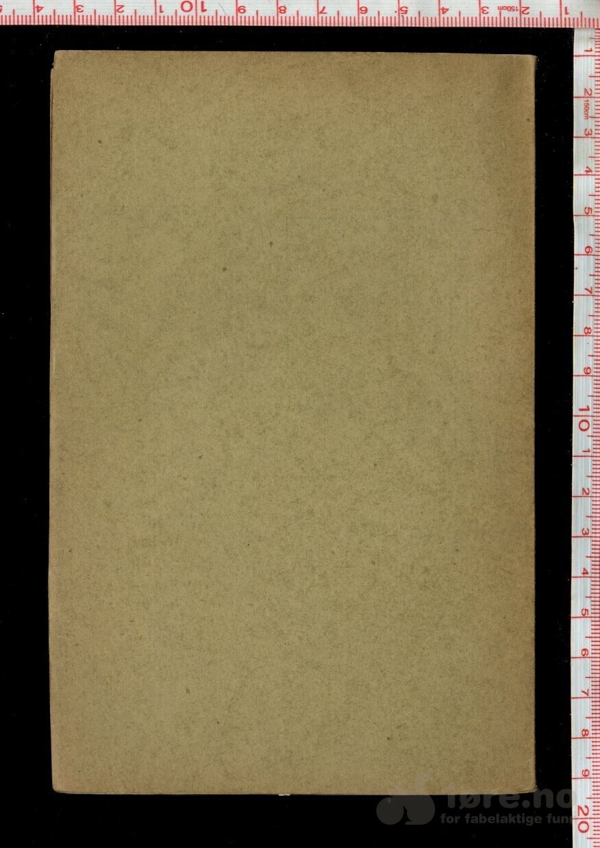 Fett, Harry - Akershus Slots Gjenreisning (1899), bilde 2