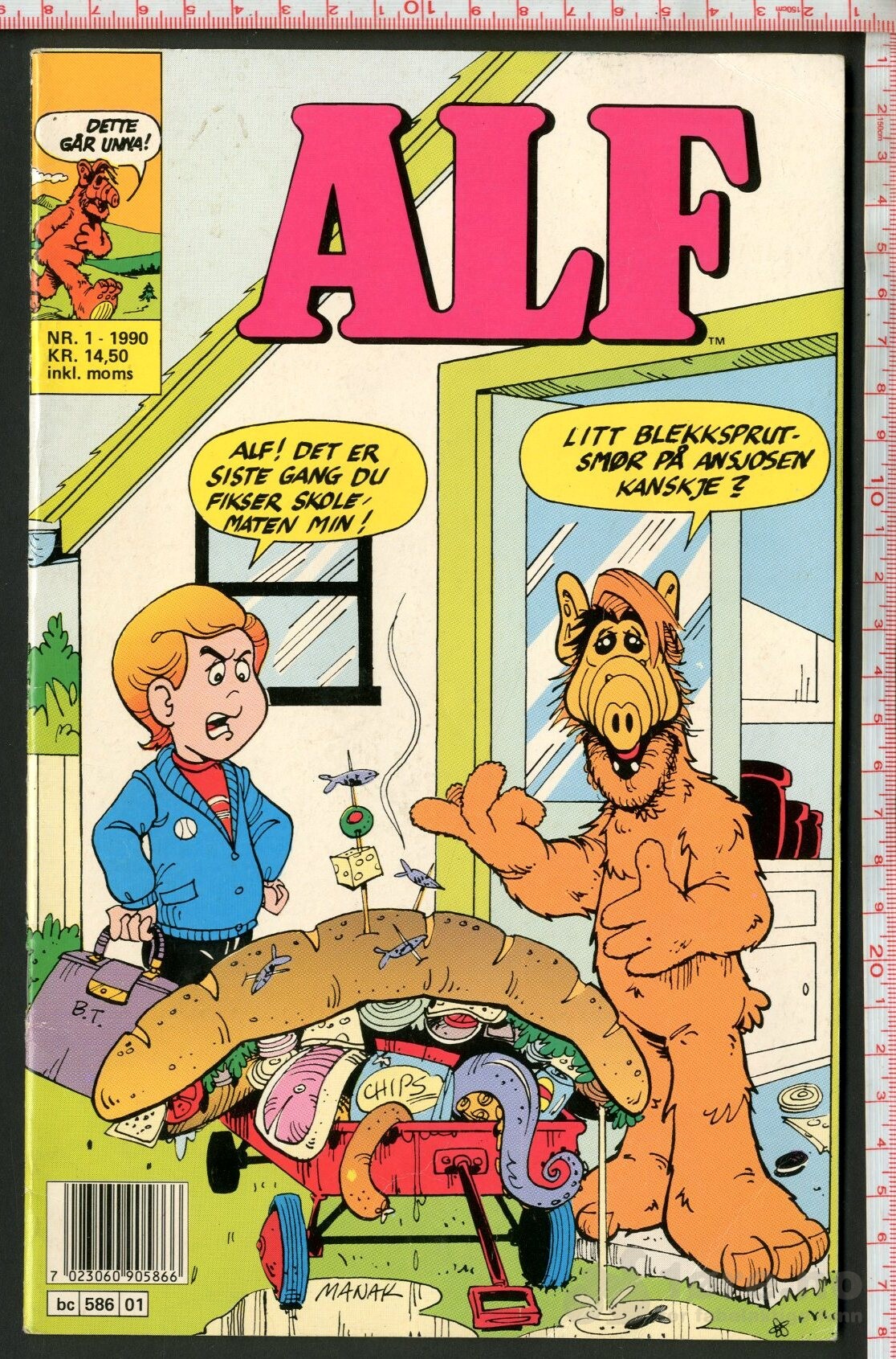 Alf 1988 - 1990, bilde 5