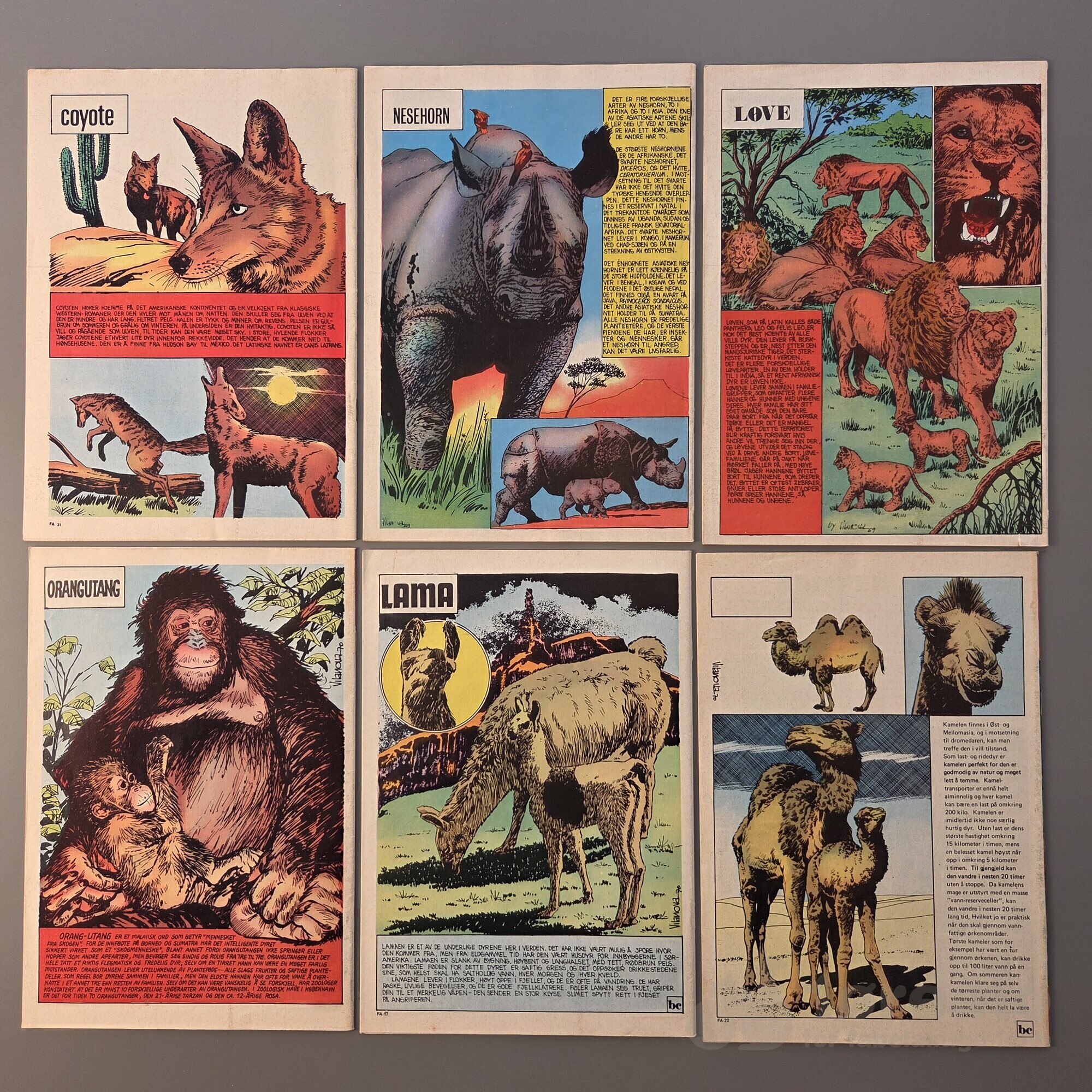 BESSIE 1971-1972, bilde 3