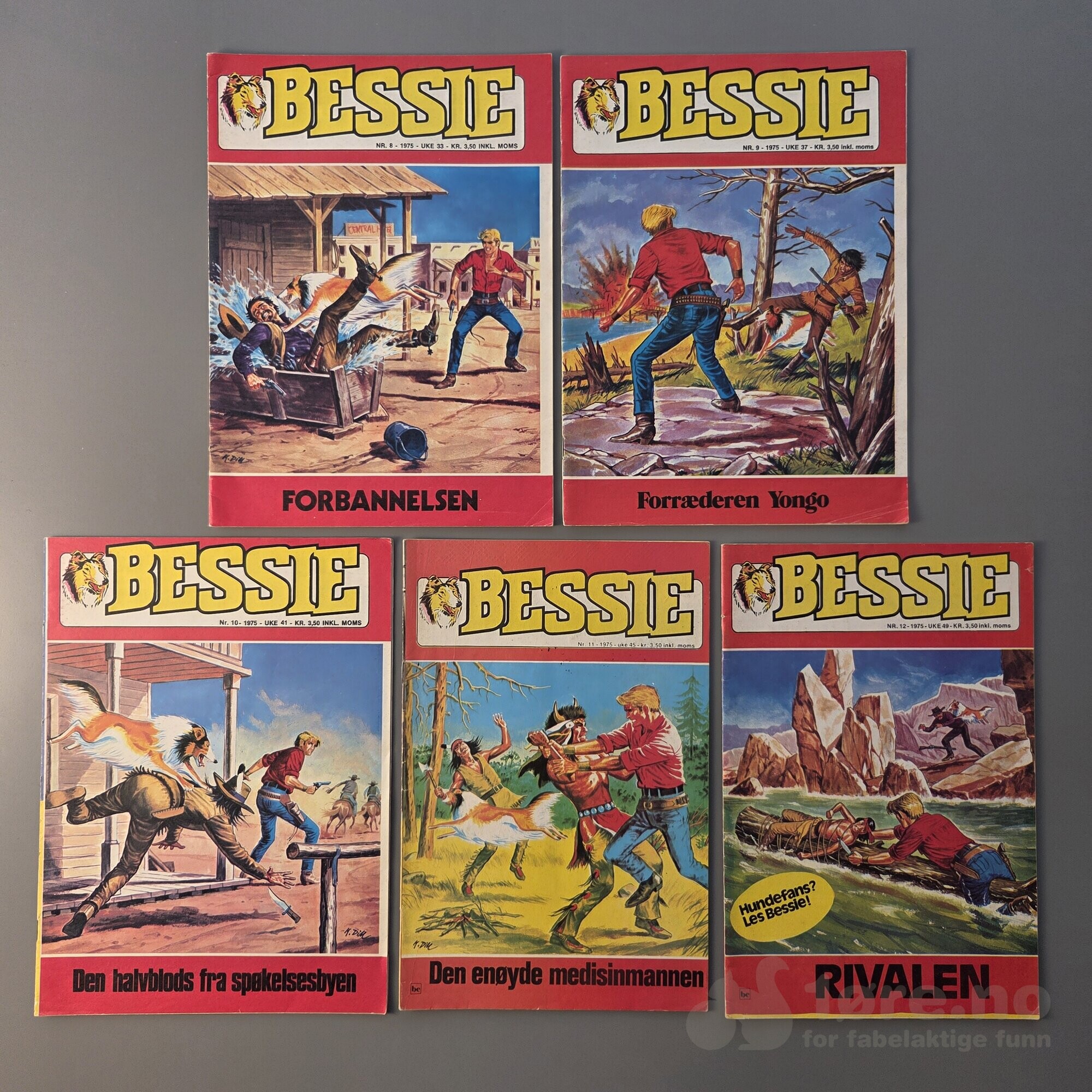 BESSIE 1974-1975, bilde 5