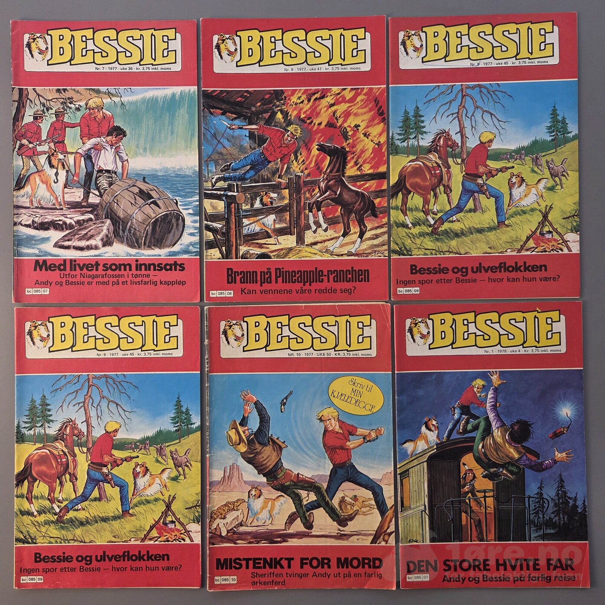 BESSIE 1976-1978, bilde 7