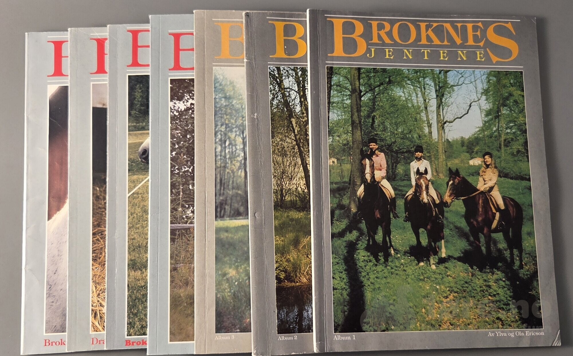 Broknes jentene