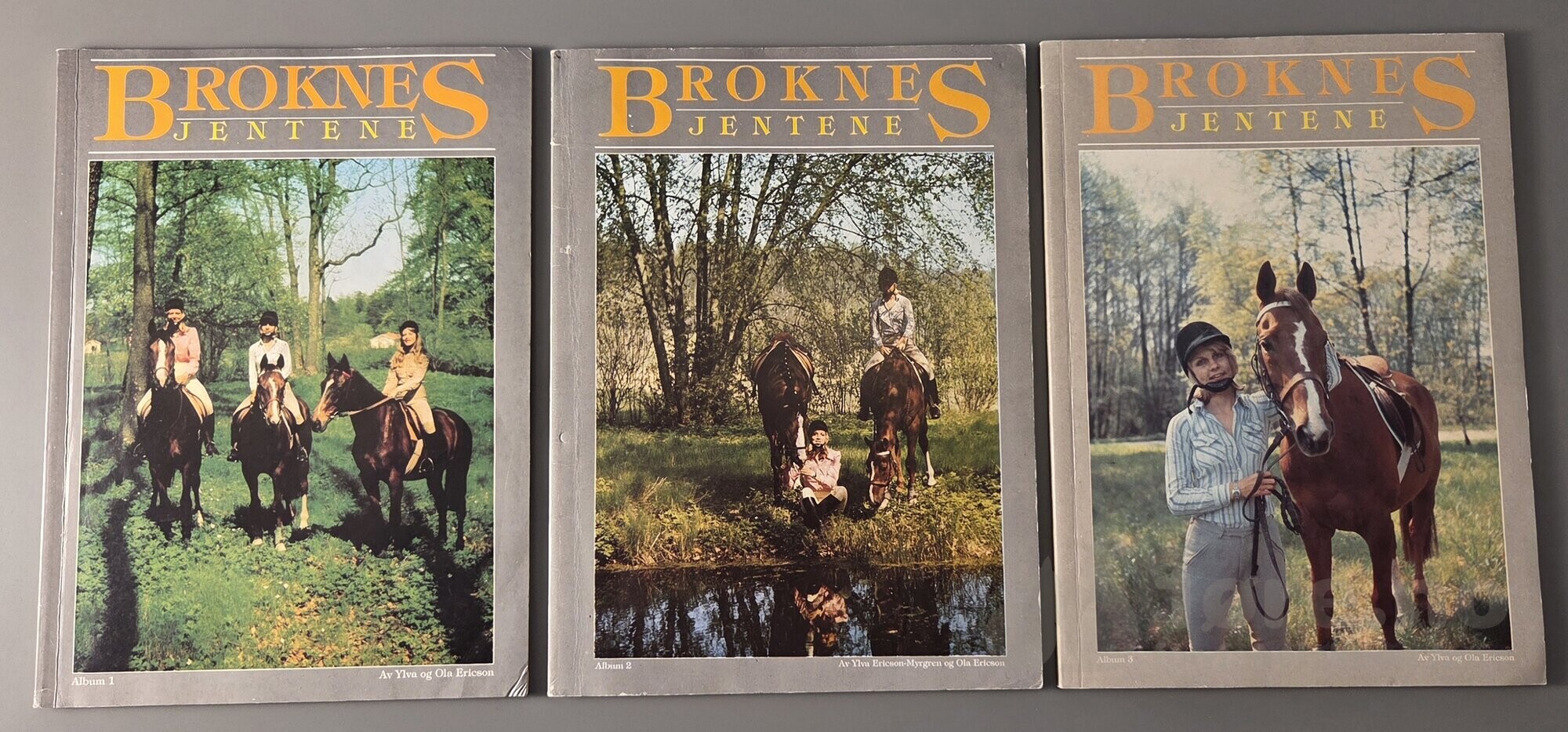 Broknes jentene, bilde 2