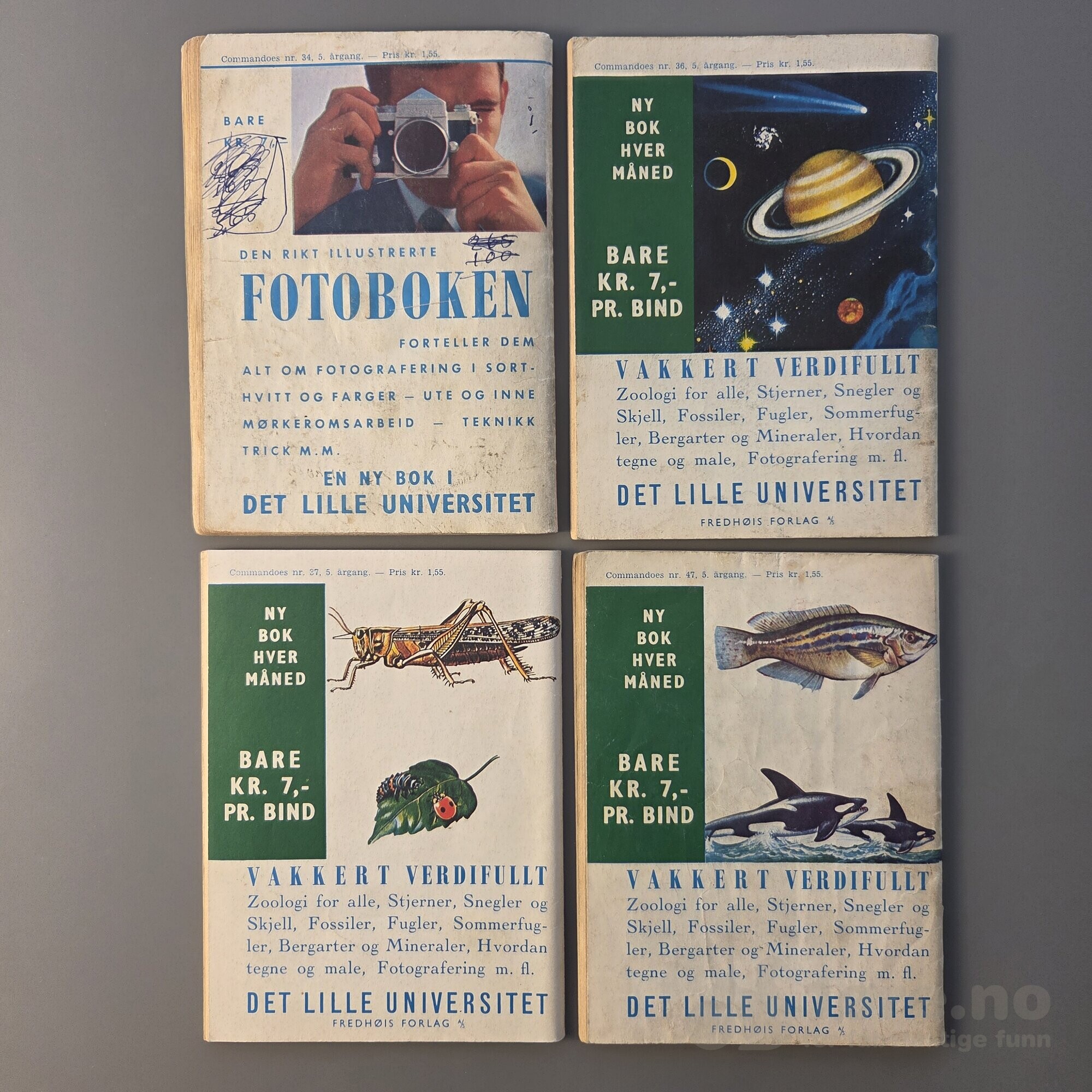 Commandoes 1966, bilde 7