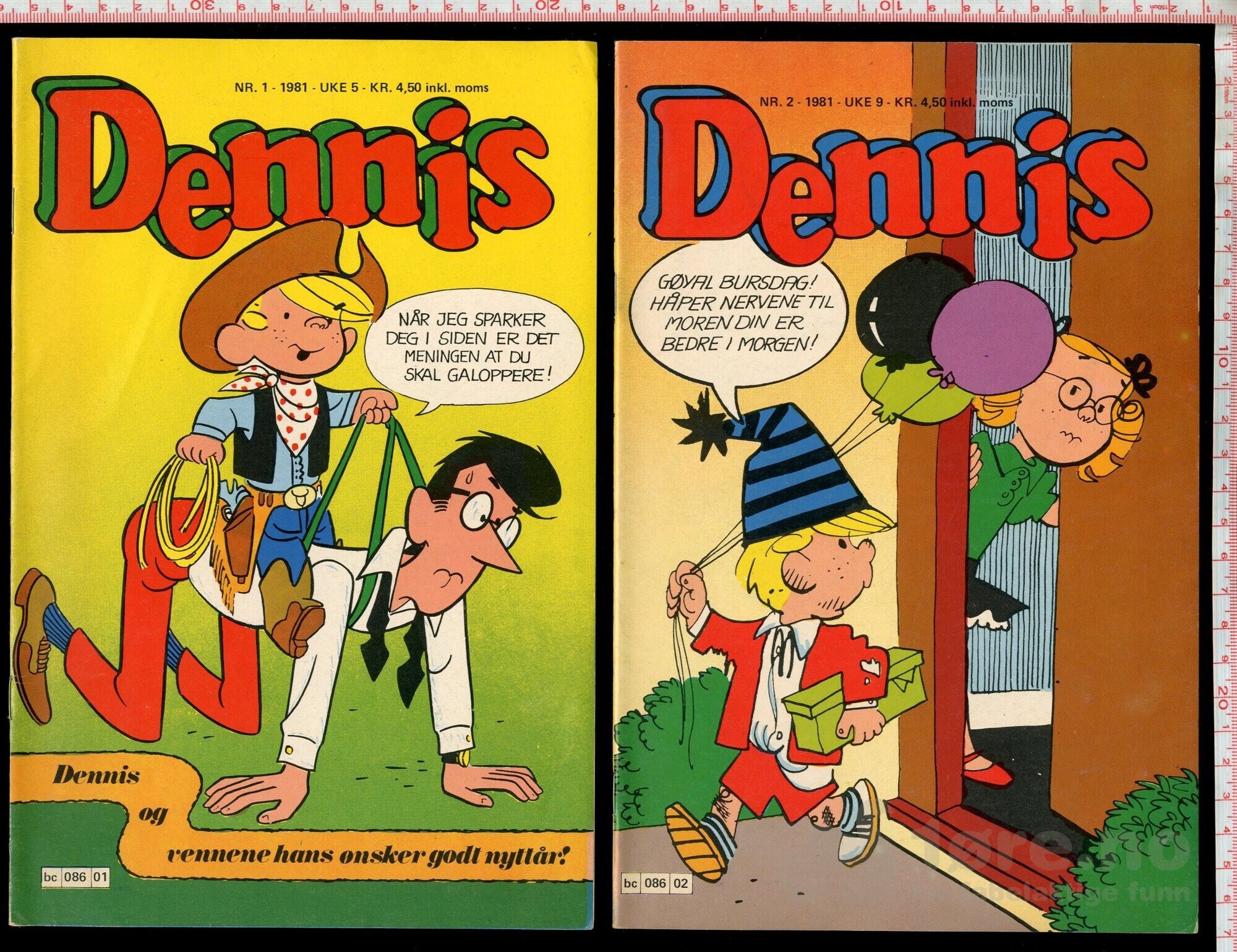 Dennis 1979-1981, bilde 13