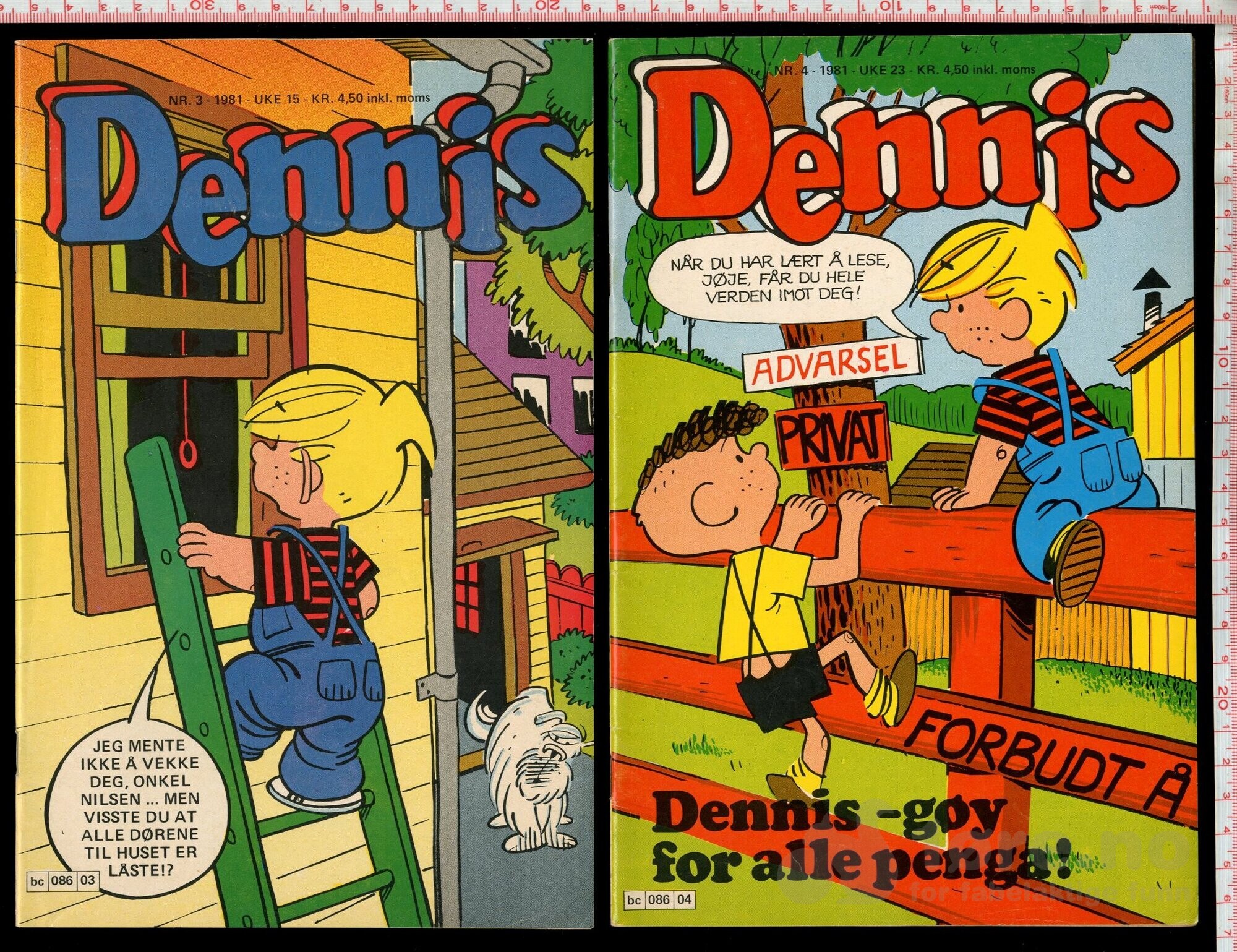 Dennis 1979-1981, bilde 14