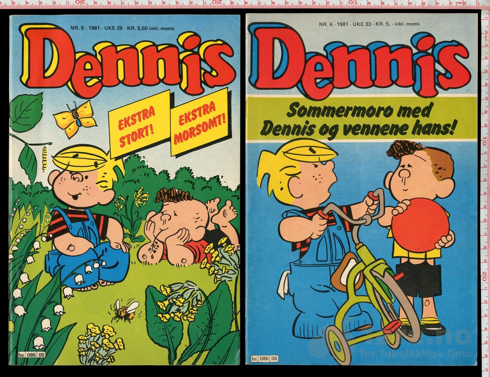 Dennis 1979-1981, bilde 15