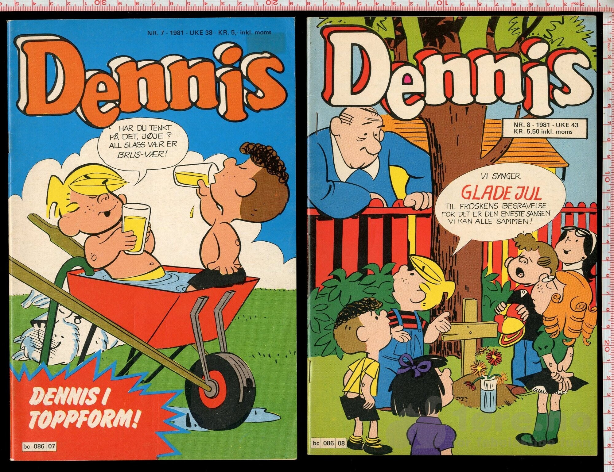 Dennis 1979-1981, bilde 16