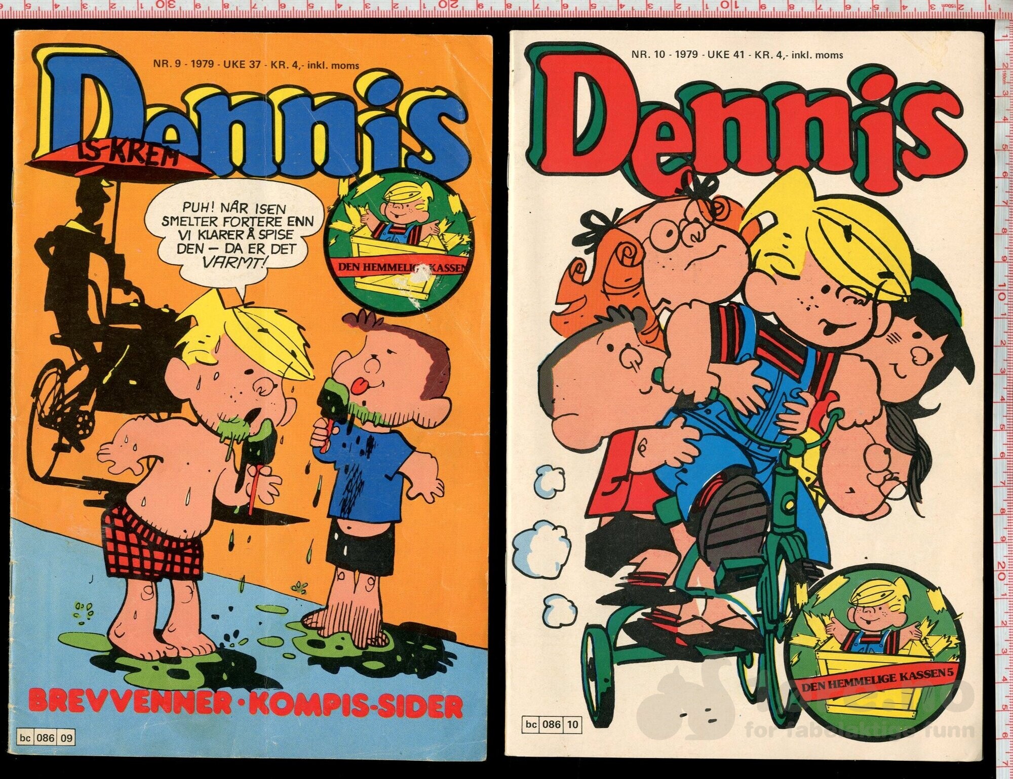 Dennis 1979-1981, bilde 5