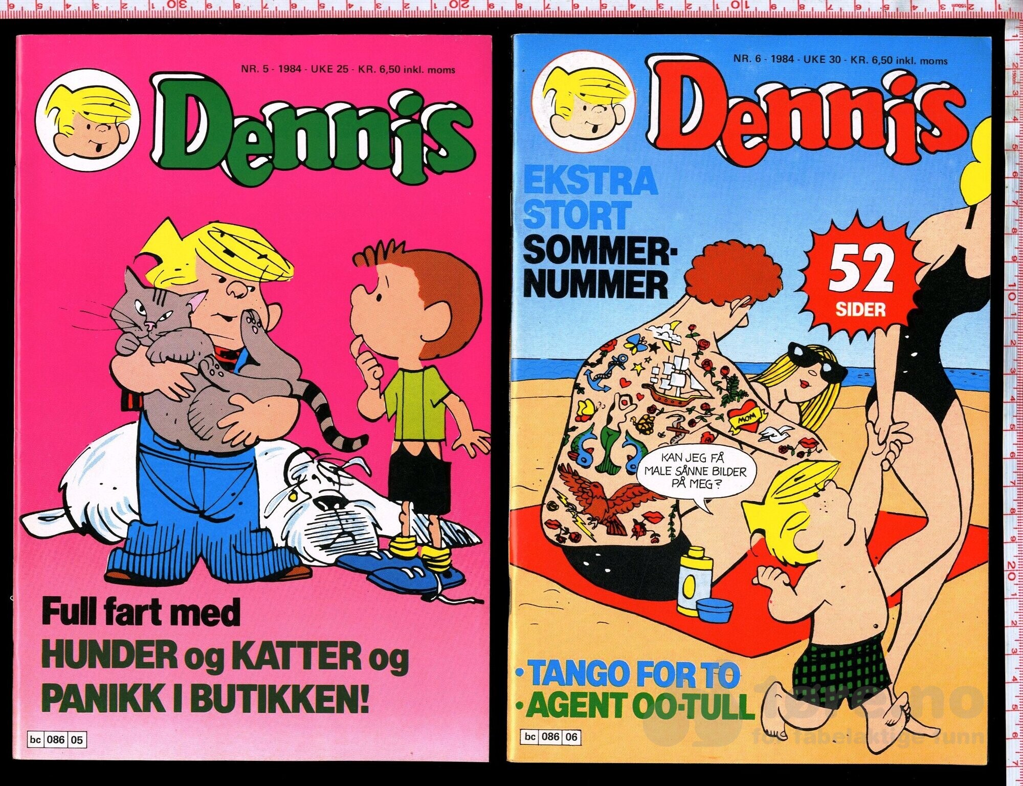 Dennis 1982-1984, bilde 13