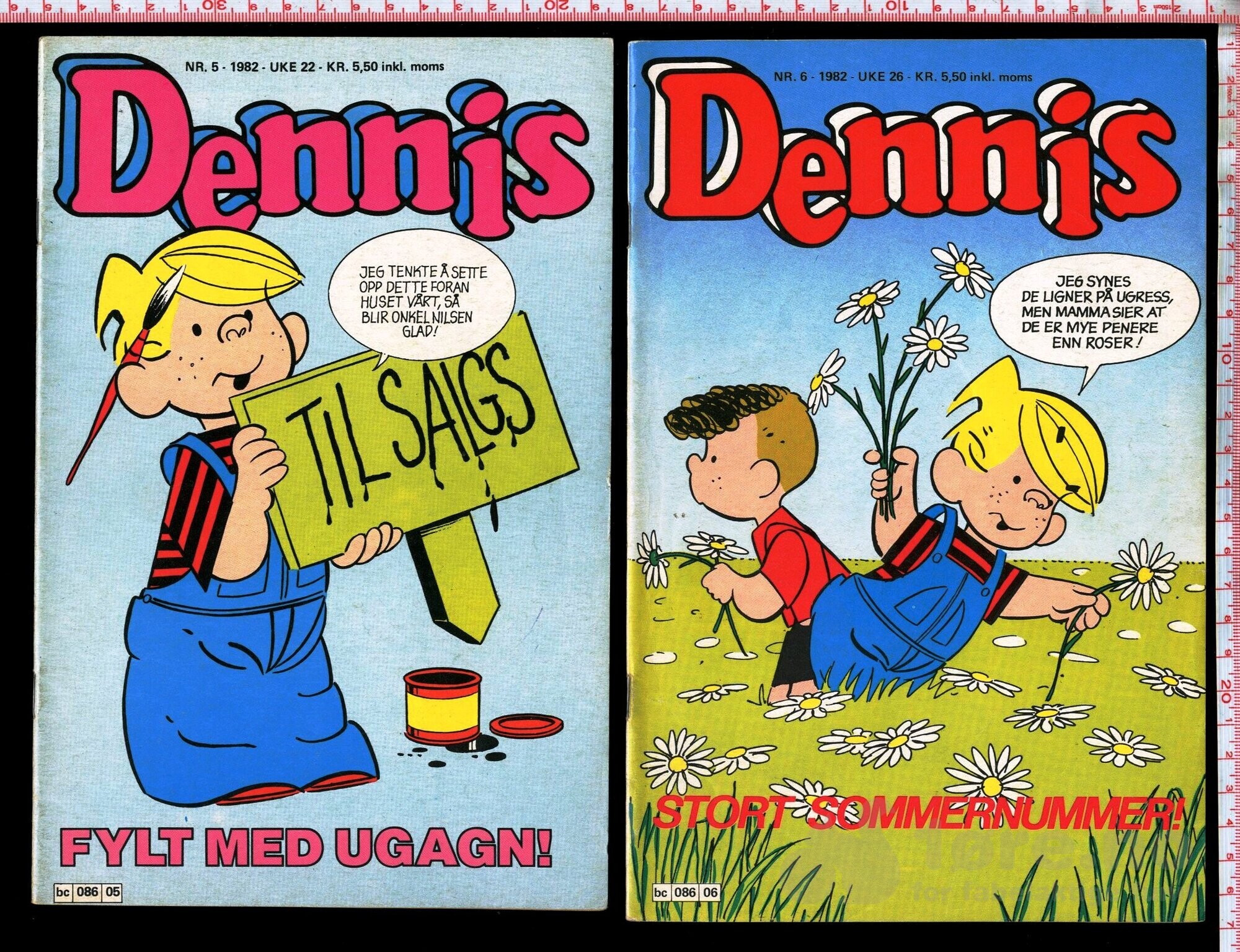 Dennis 1982-1984, bilde 3