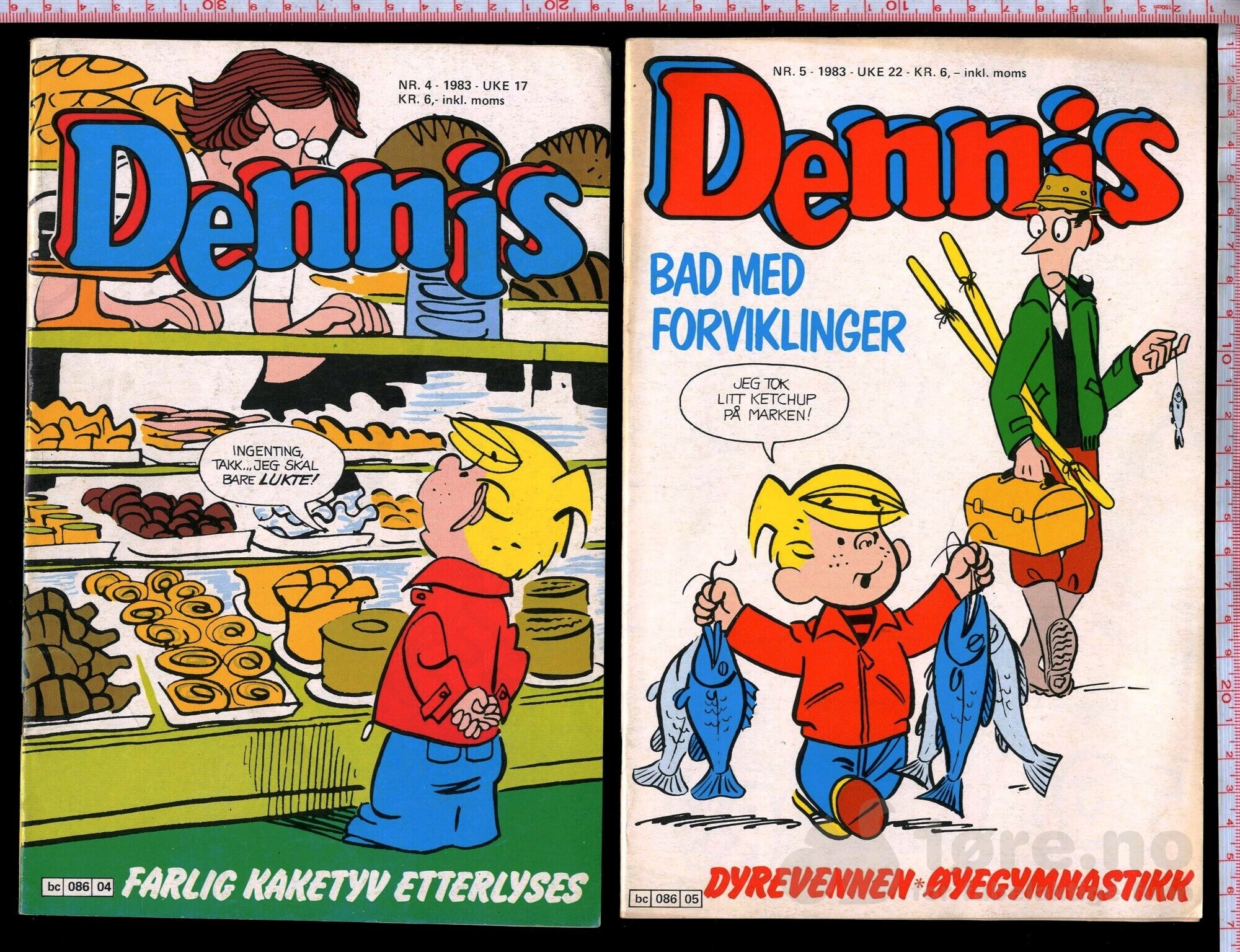 Dennis 1982-1984, bilde 7