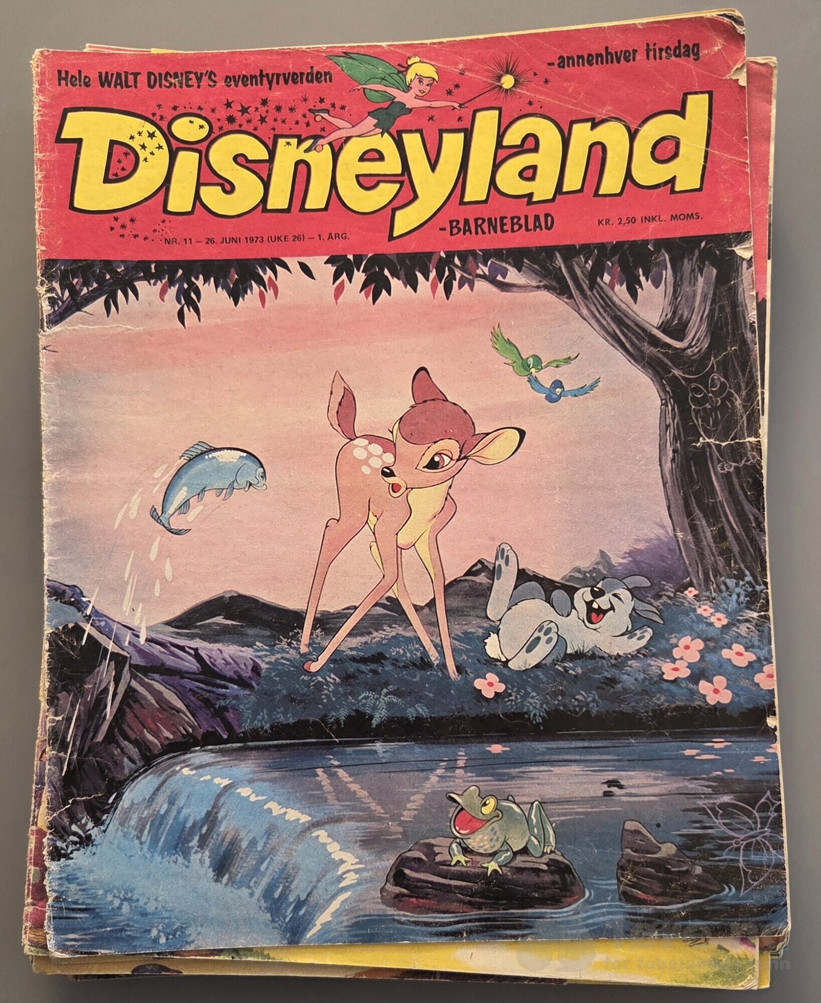 Disneyland-barneblad 1973-74, bilde 2