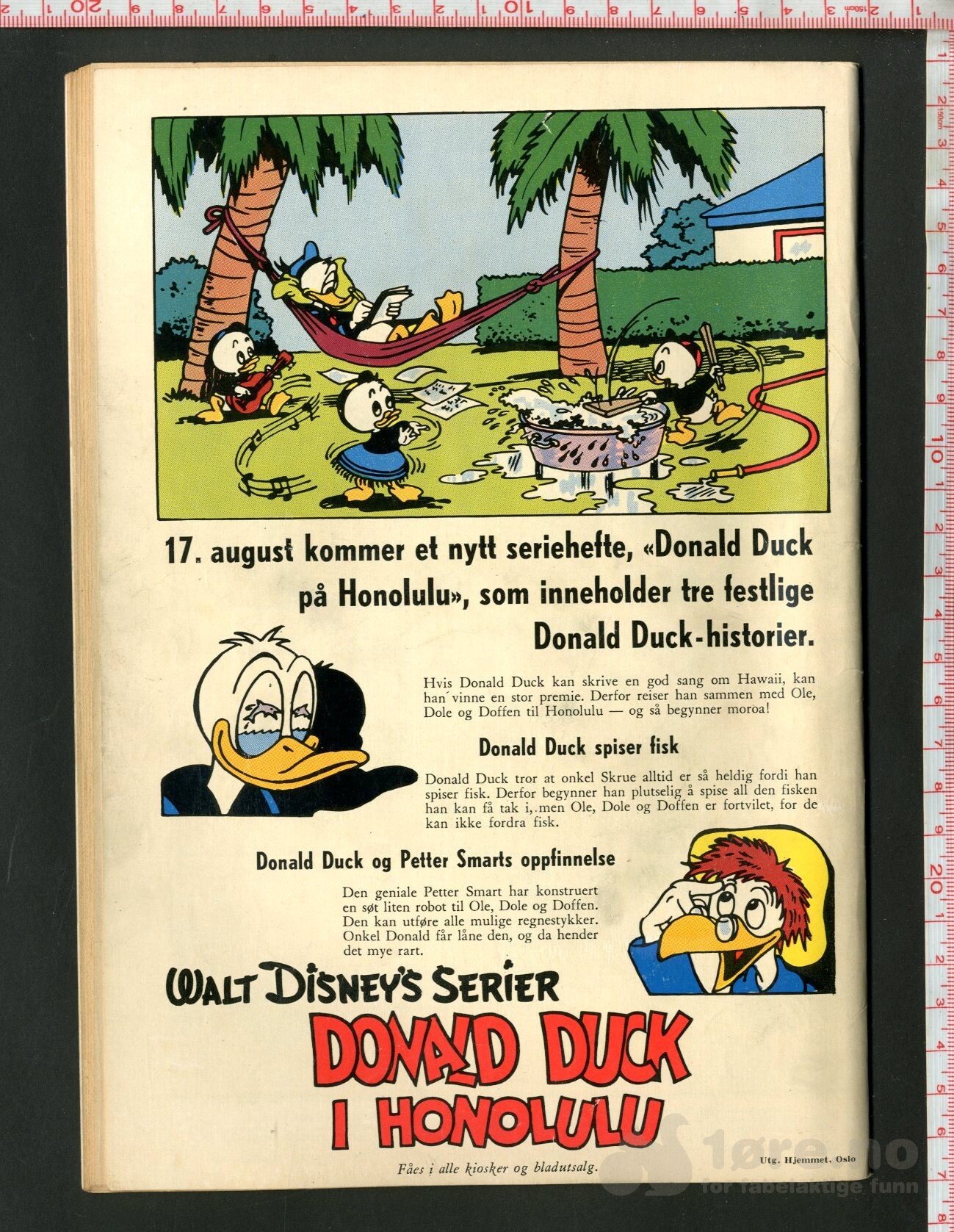 Donald Duck & Co 1955 Nr 8, bilde 2