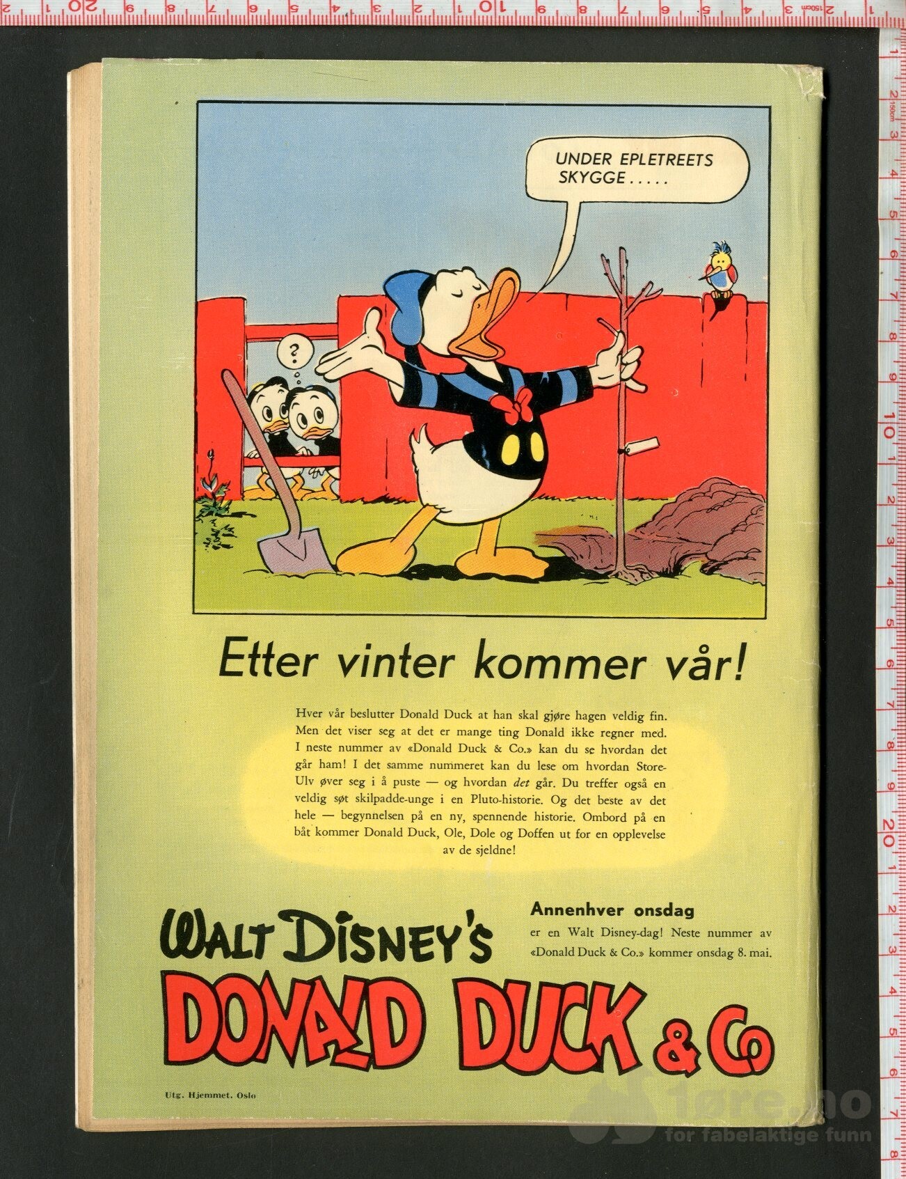 Donald Duck & Co 1957 Nr 9, bilde 2