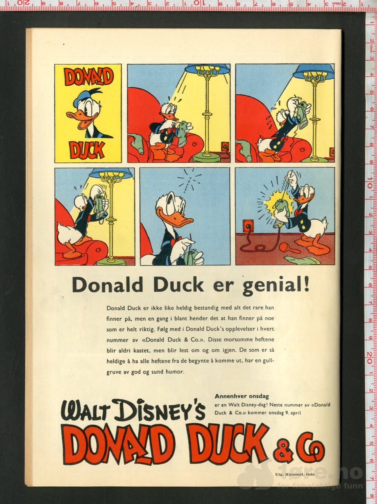 Donald Duck & Co 1958 Nr 7, bilde 2