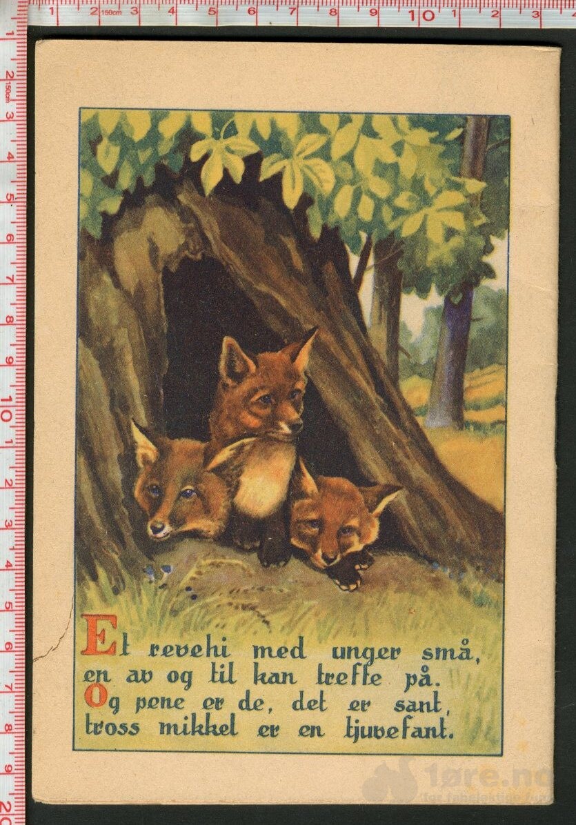 Dyra i skogen, bilde 2