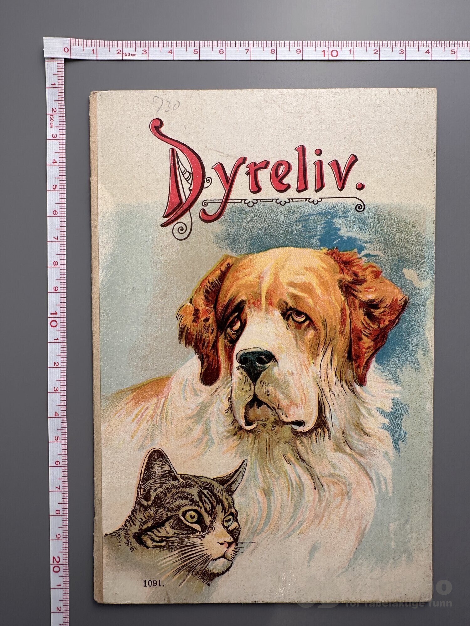 Dyreliv