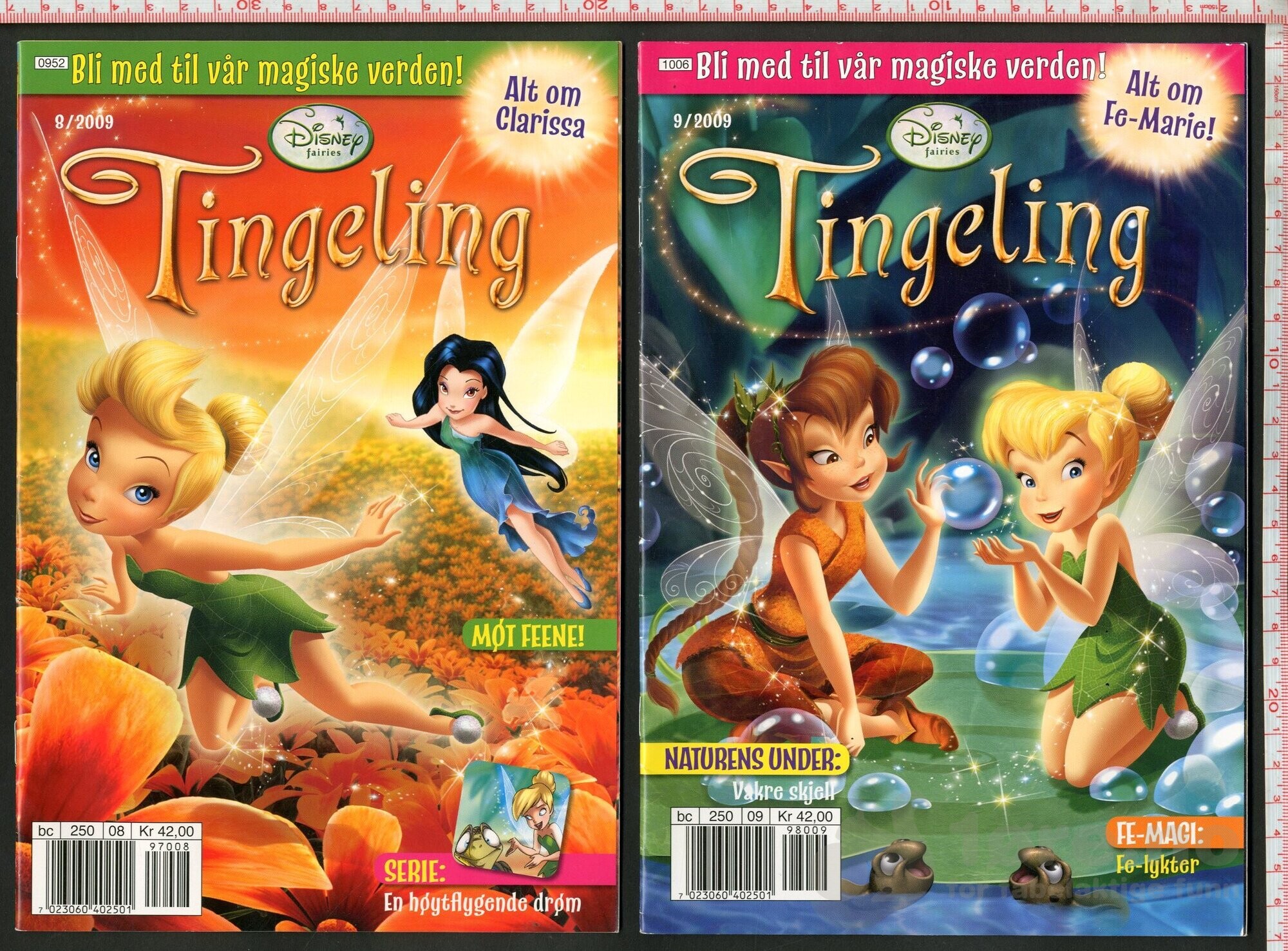 Fairies / Tingelings verden 2008-2009, bilde 8