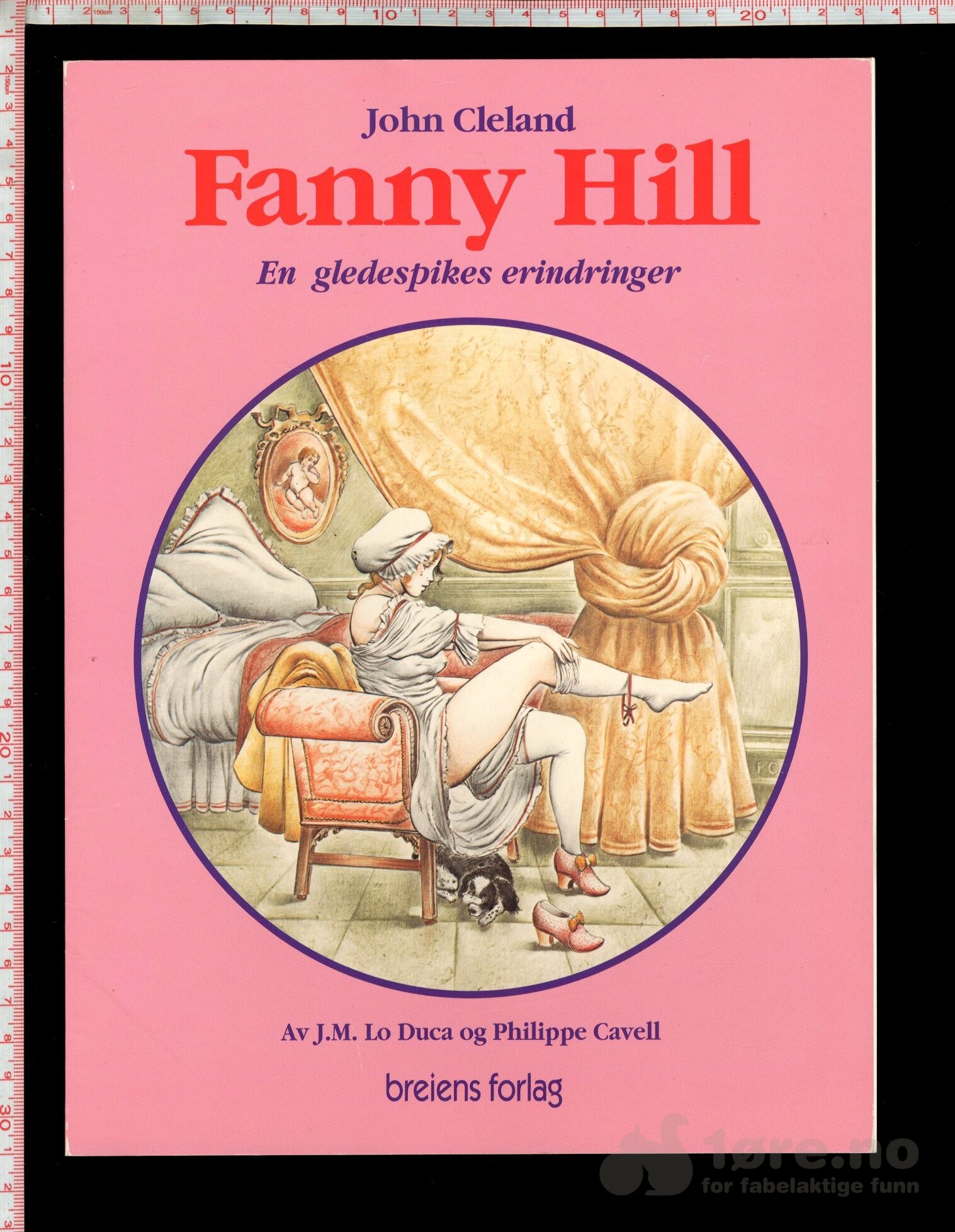 Fanny Hill - En gledespiker erindringer