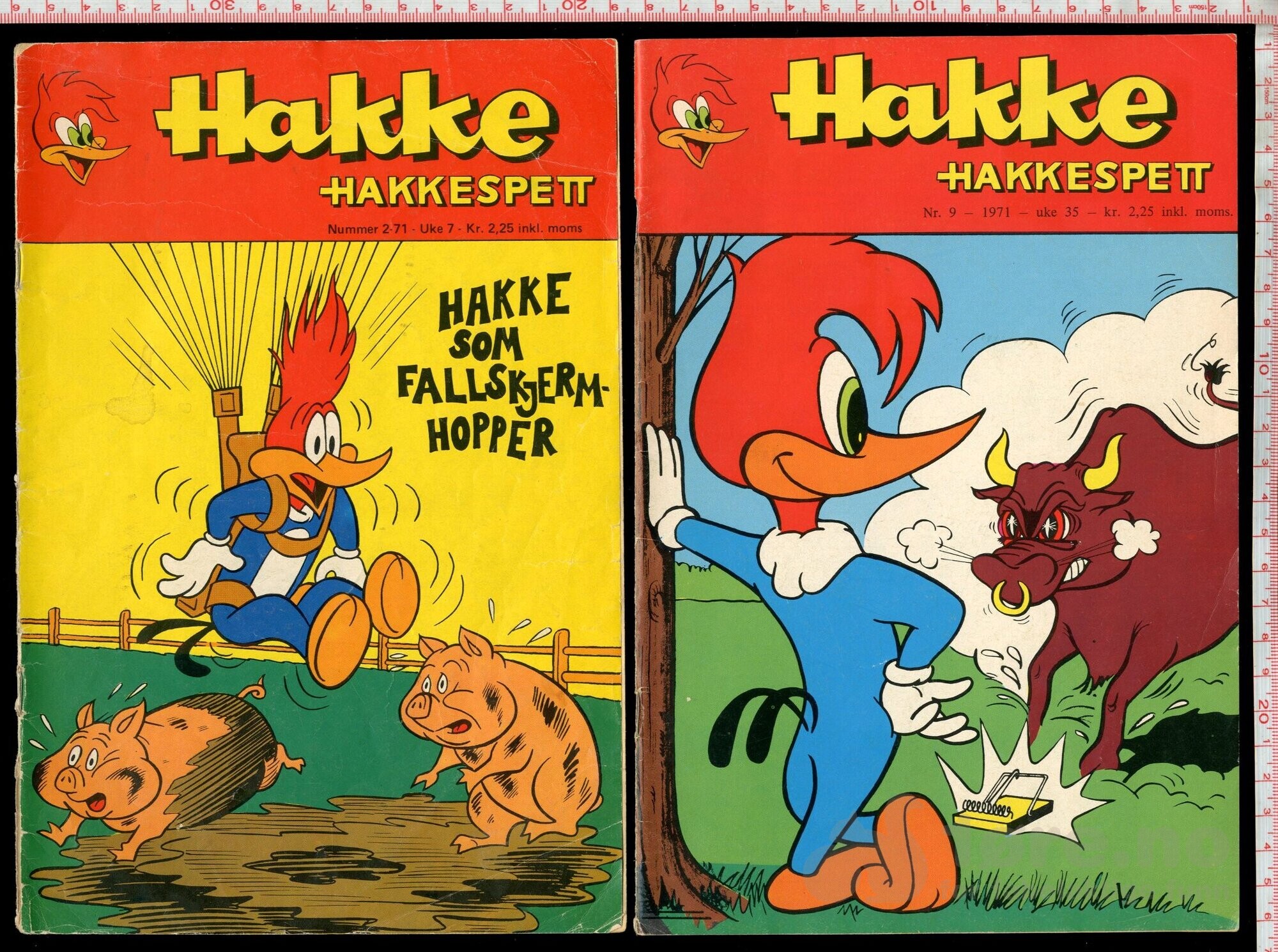 Hakke Hakkespett 1971-1974