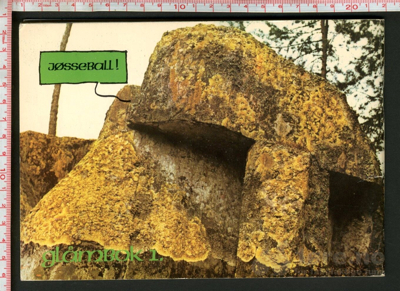 Heig, glåmrik?, bilde 2