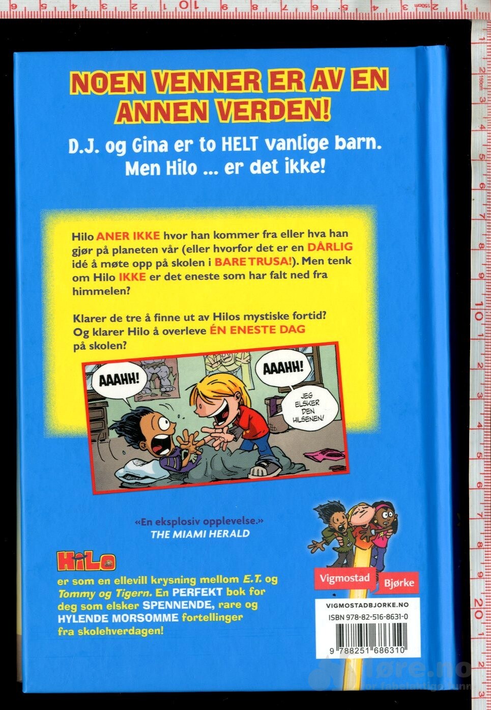 Hilo – Gutten som styrtet til jorda, bilde 2