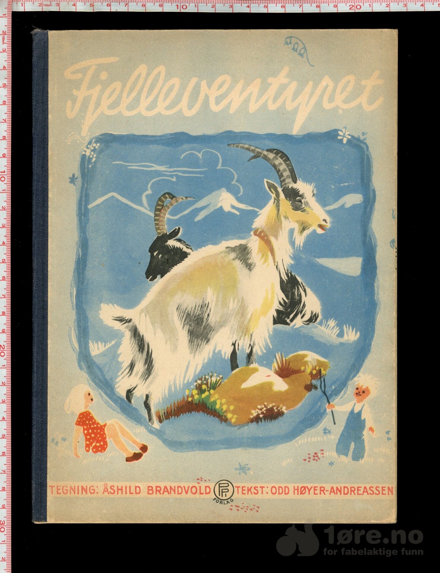 Høyer-Andreassen, Odd & Brandvold, Åshild - Fjelleventyret