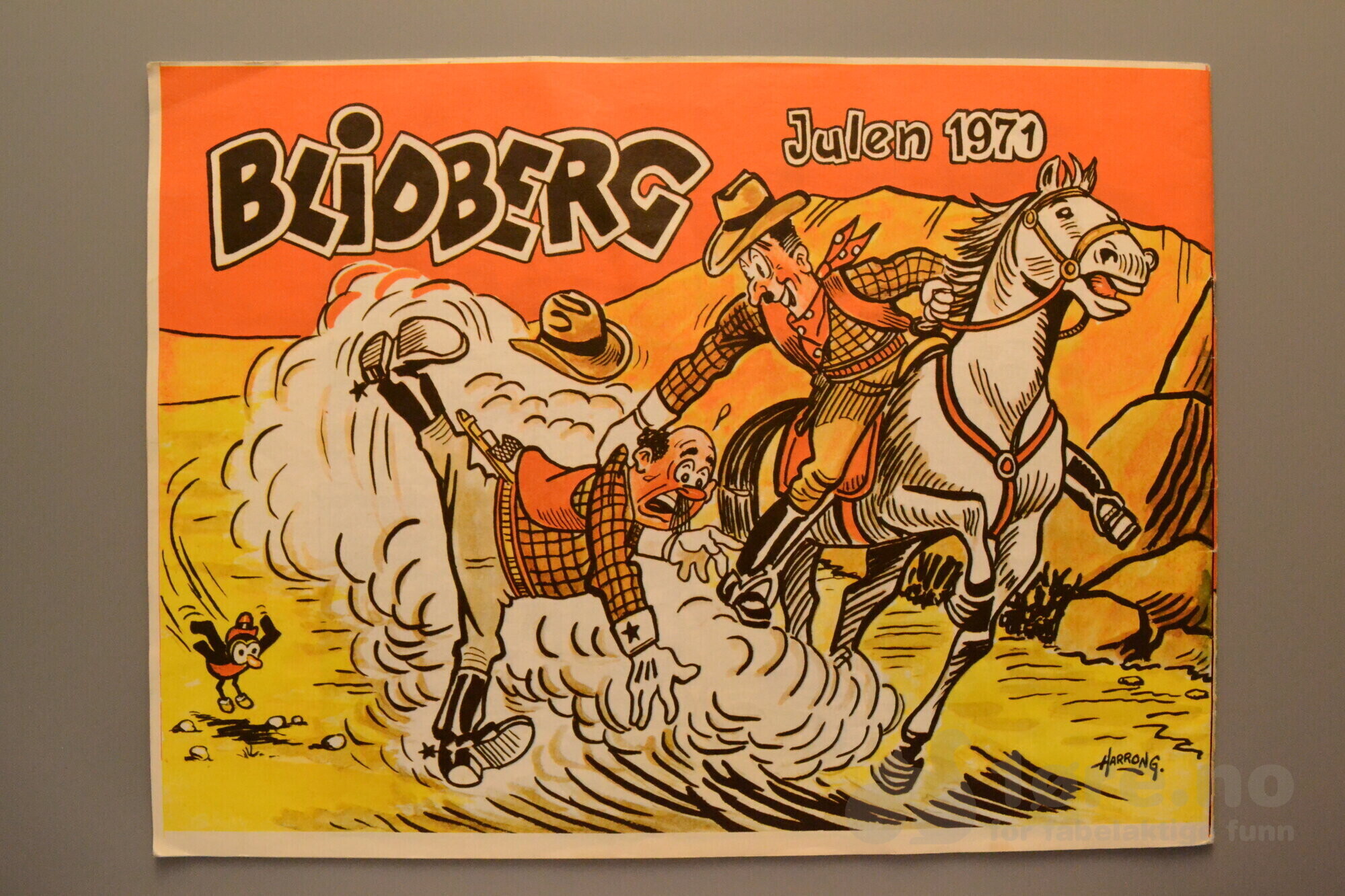 Blidberg 1971, bilde 2