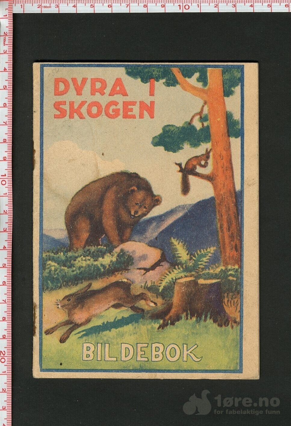 Dyra i skogen, bildebok