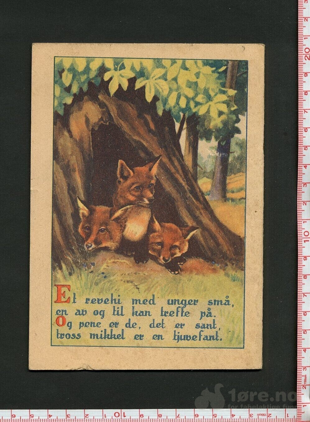 Dyra i skogen, bildebok, bilde 2