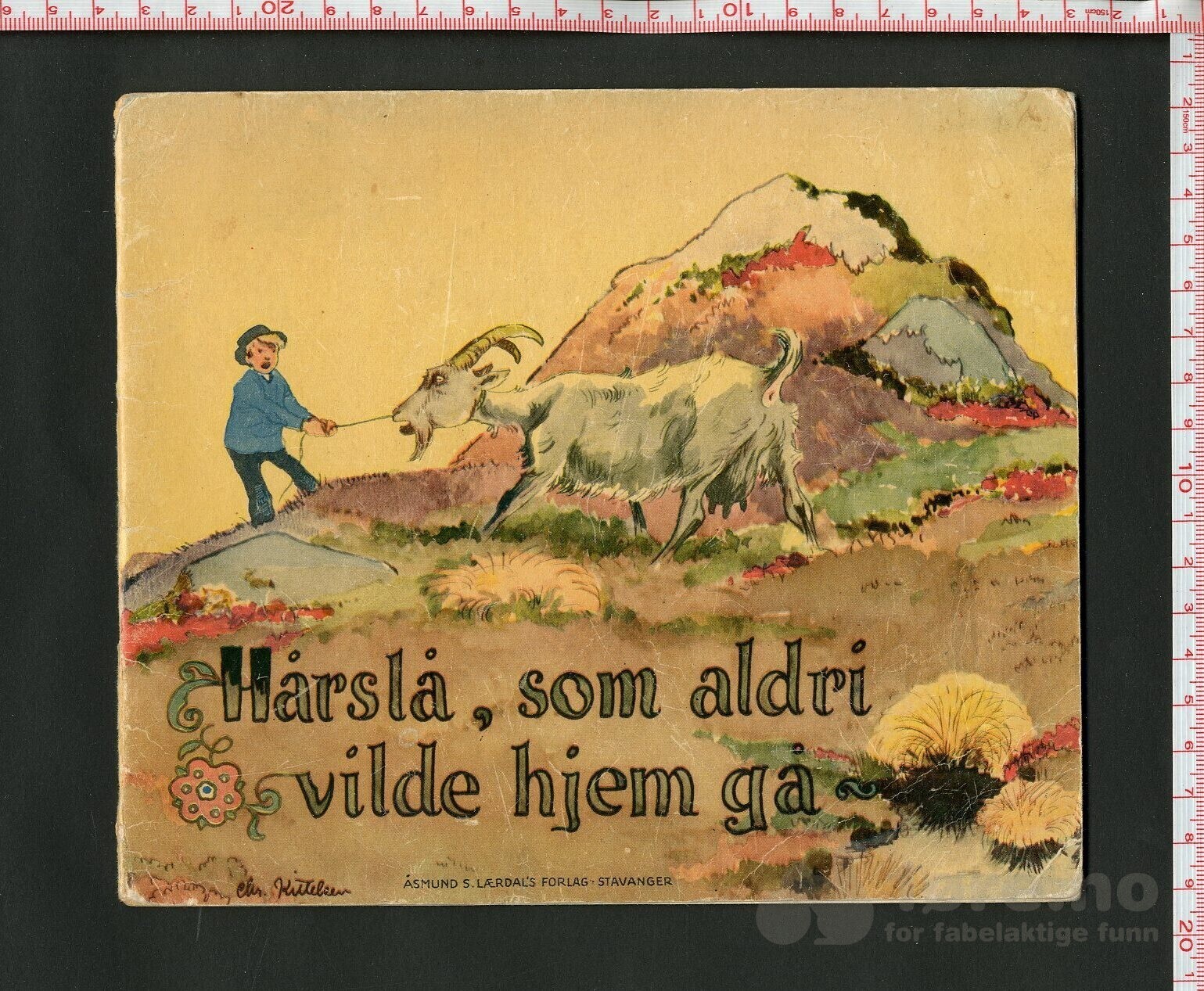 Hårslå, som aldri vilde hjem gå