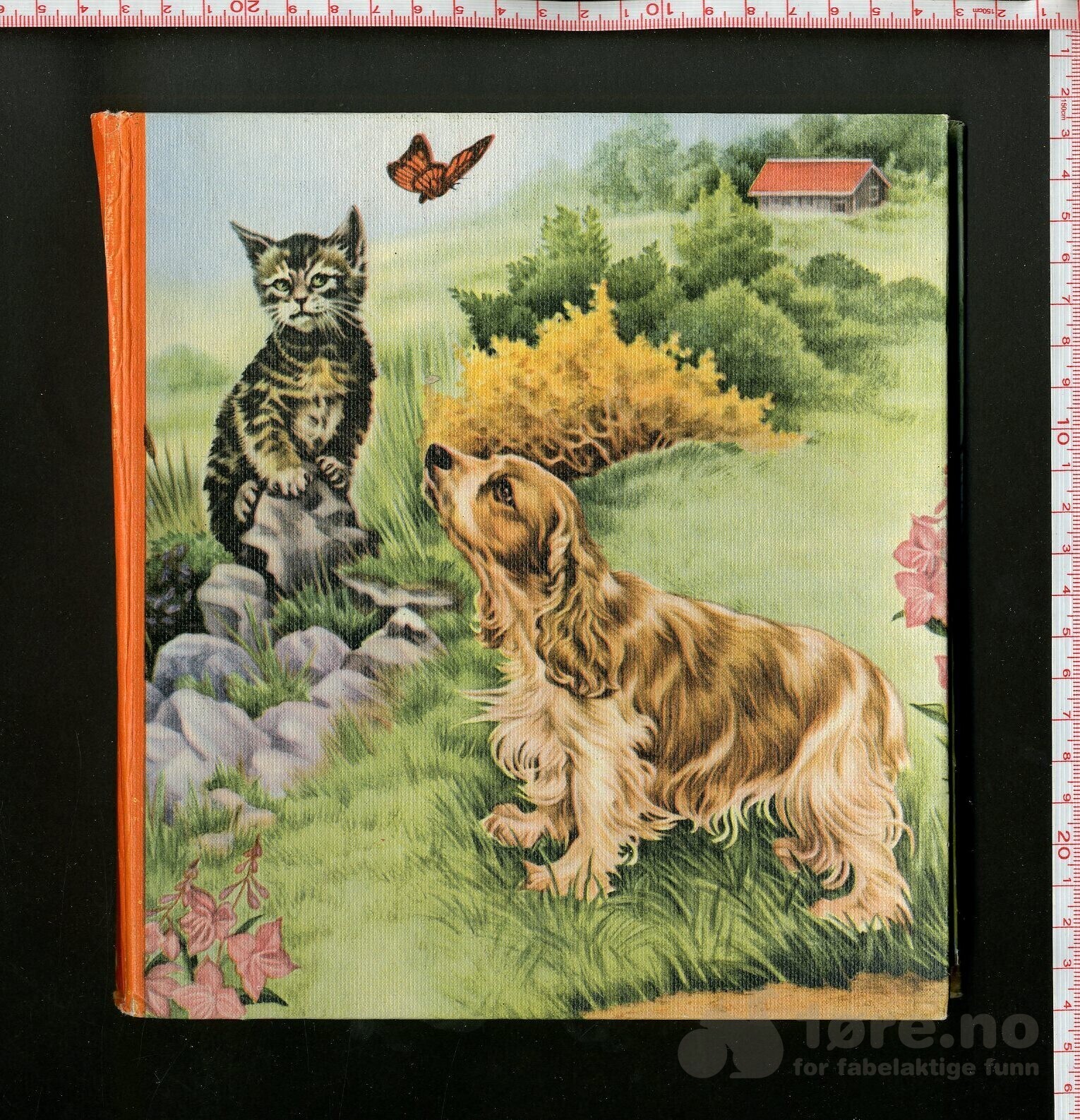 Utbrettbok - Hund og katt