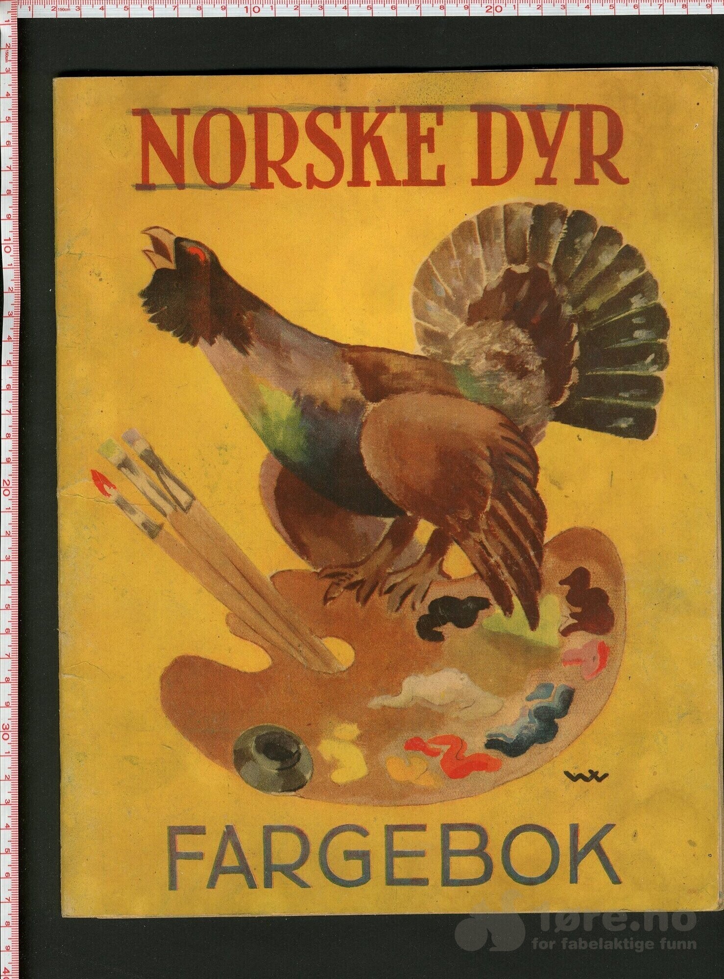 Norske dyr fargebok