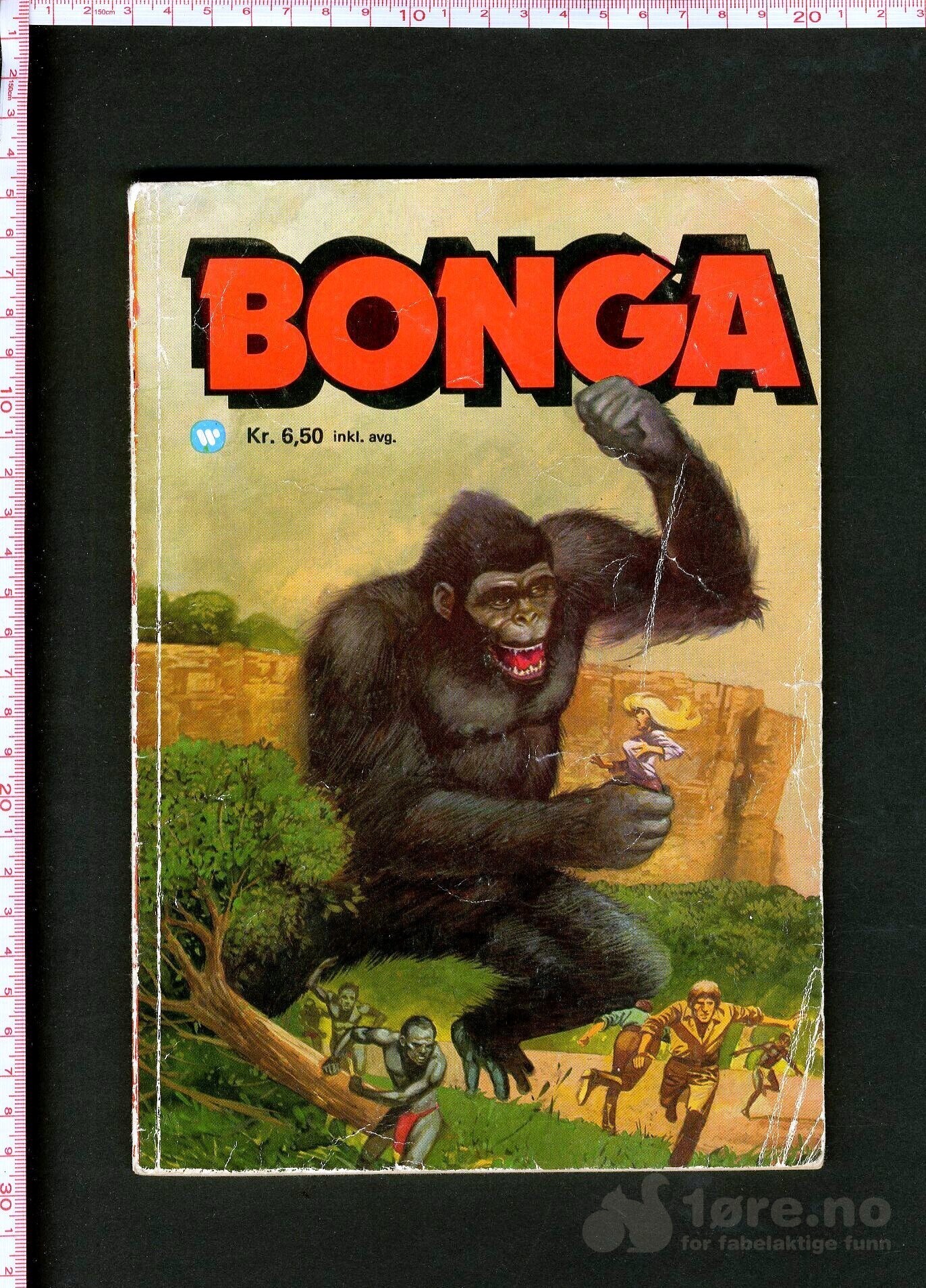Bonga 1974