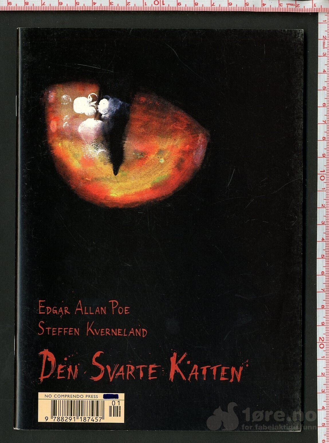 Den svarte katten 2002