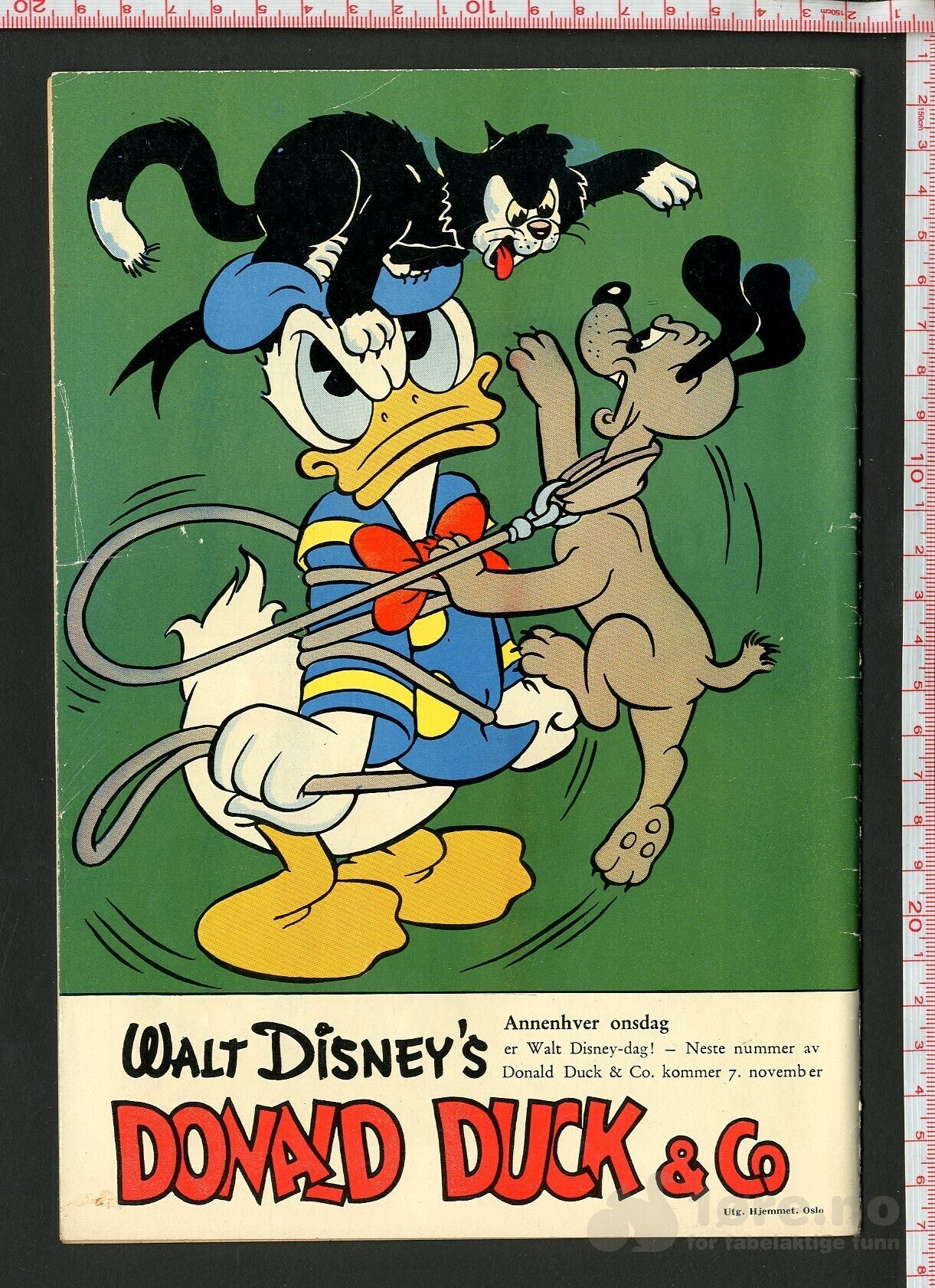 Walt Disney's Serier 1956 nr 11, bilde 2