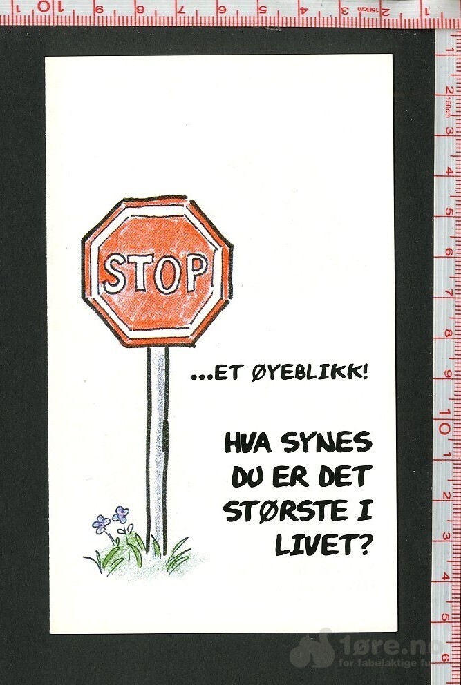 Stop ...et øyeblikk! (Minihefte)