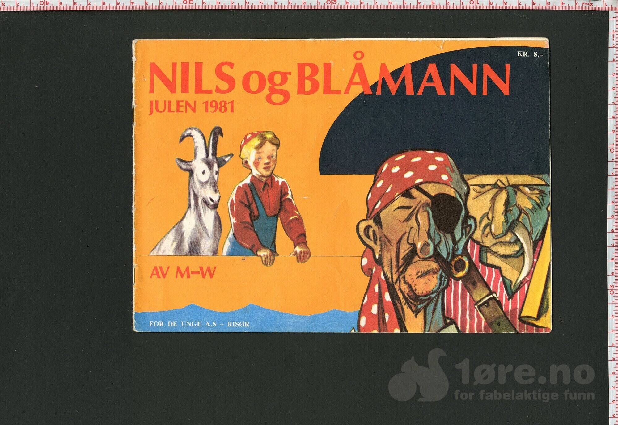 Nils og blåmann, 1974 - 2002, bilde 4