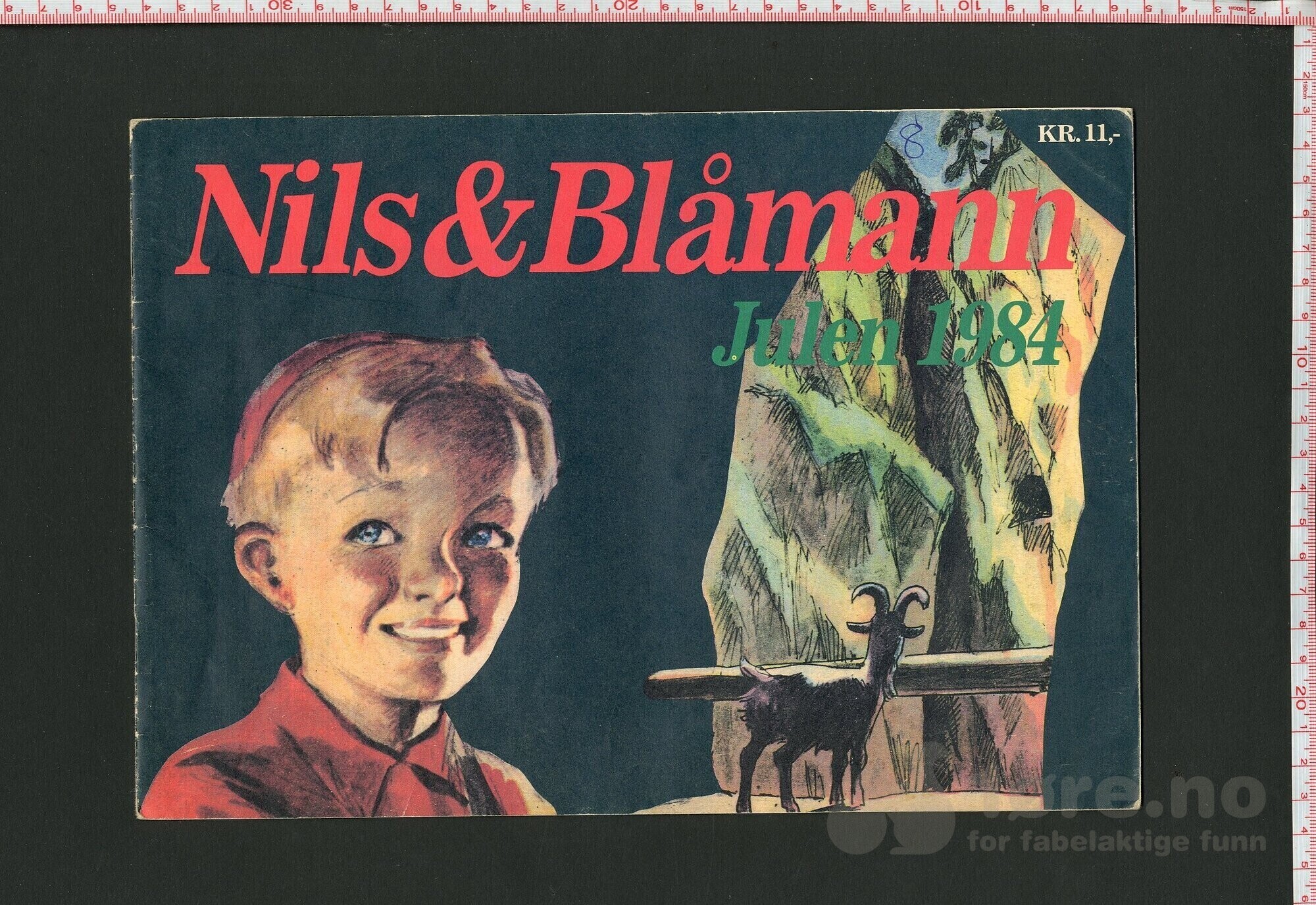 Nils og blåmann, 1974 - 2002, bilde 7