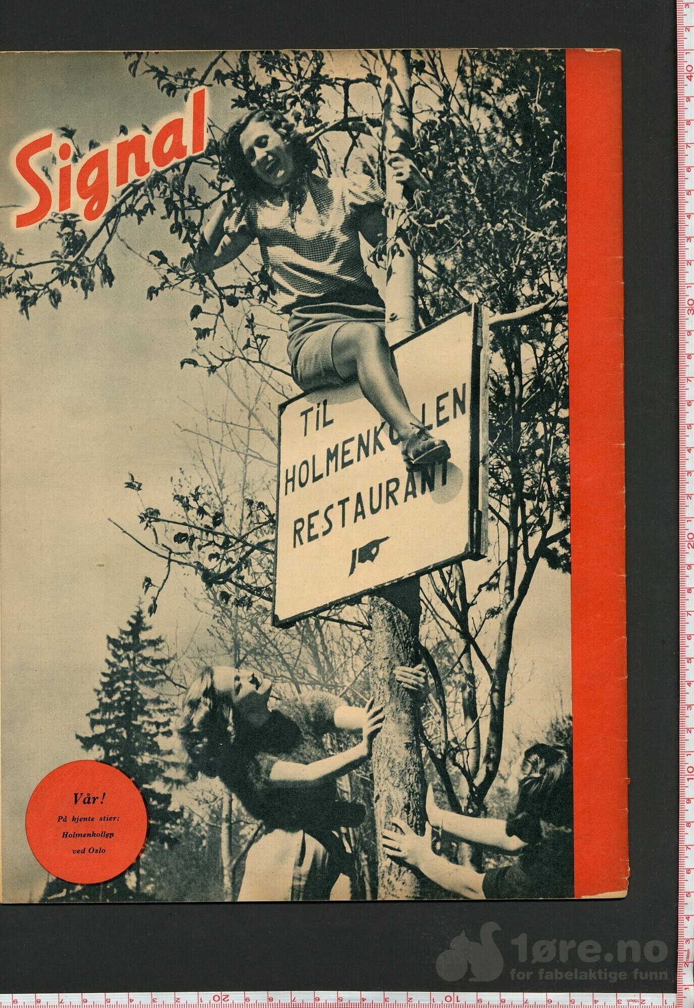 Signal nr 7/1943, bilde 2