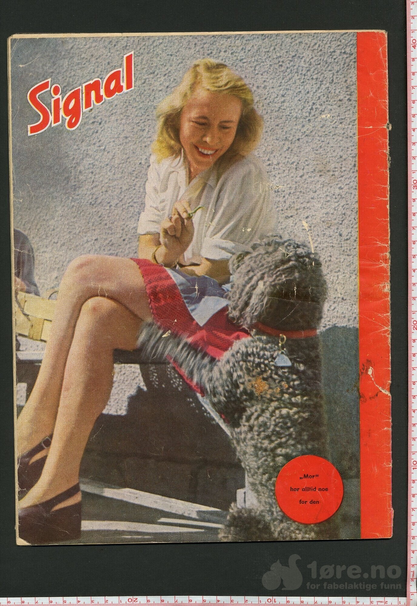 Signal nr 15/1944, bilde 2
