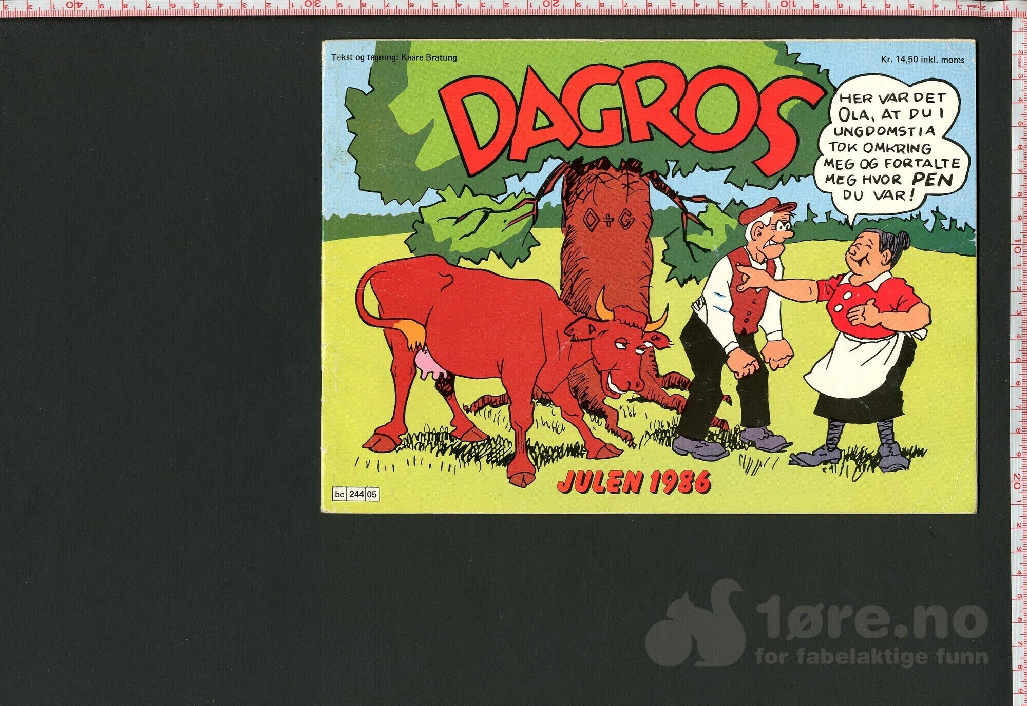 DAGROS 1979-1986, bilde 8