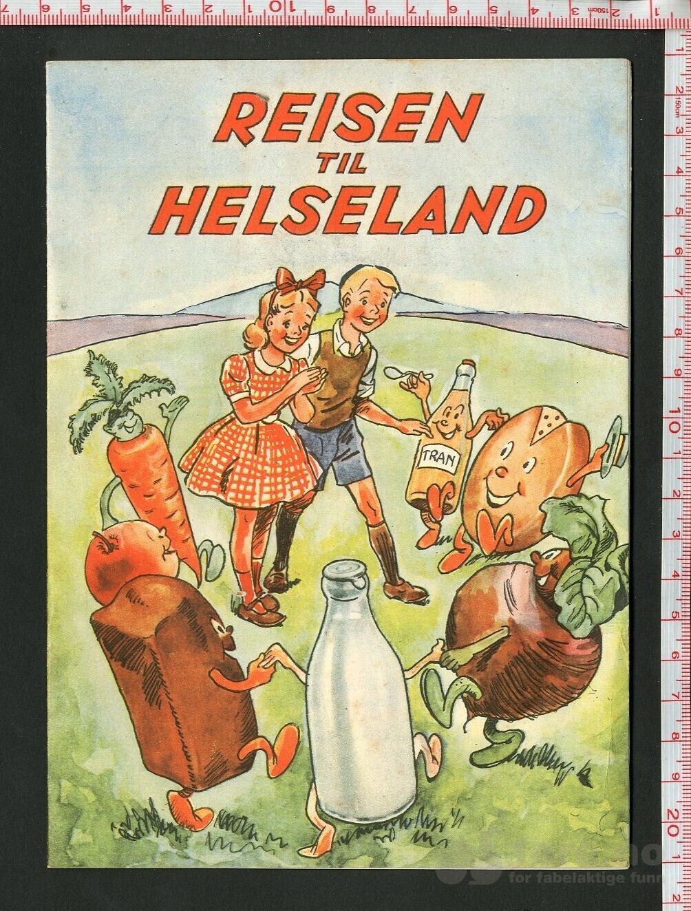 Reisen til Helseland
