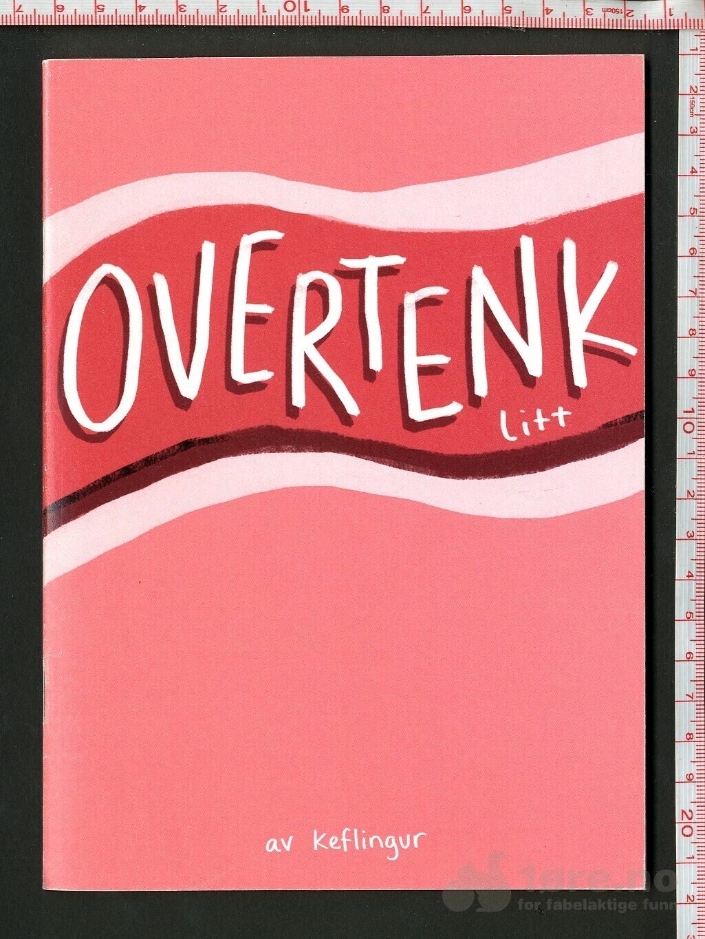 Overtenk litt 2019